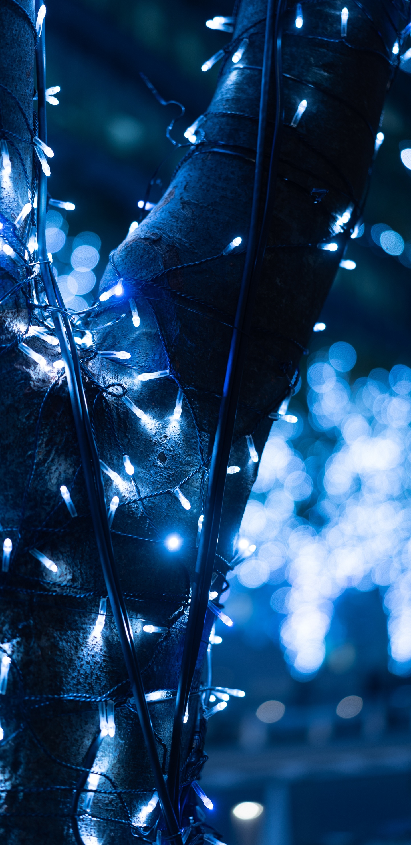 Blaue Und Weiße Lichterketten. Wallpaper in 1440x2960 Resolution