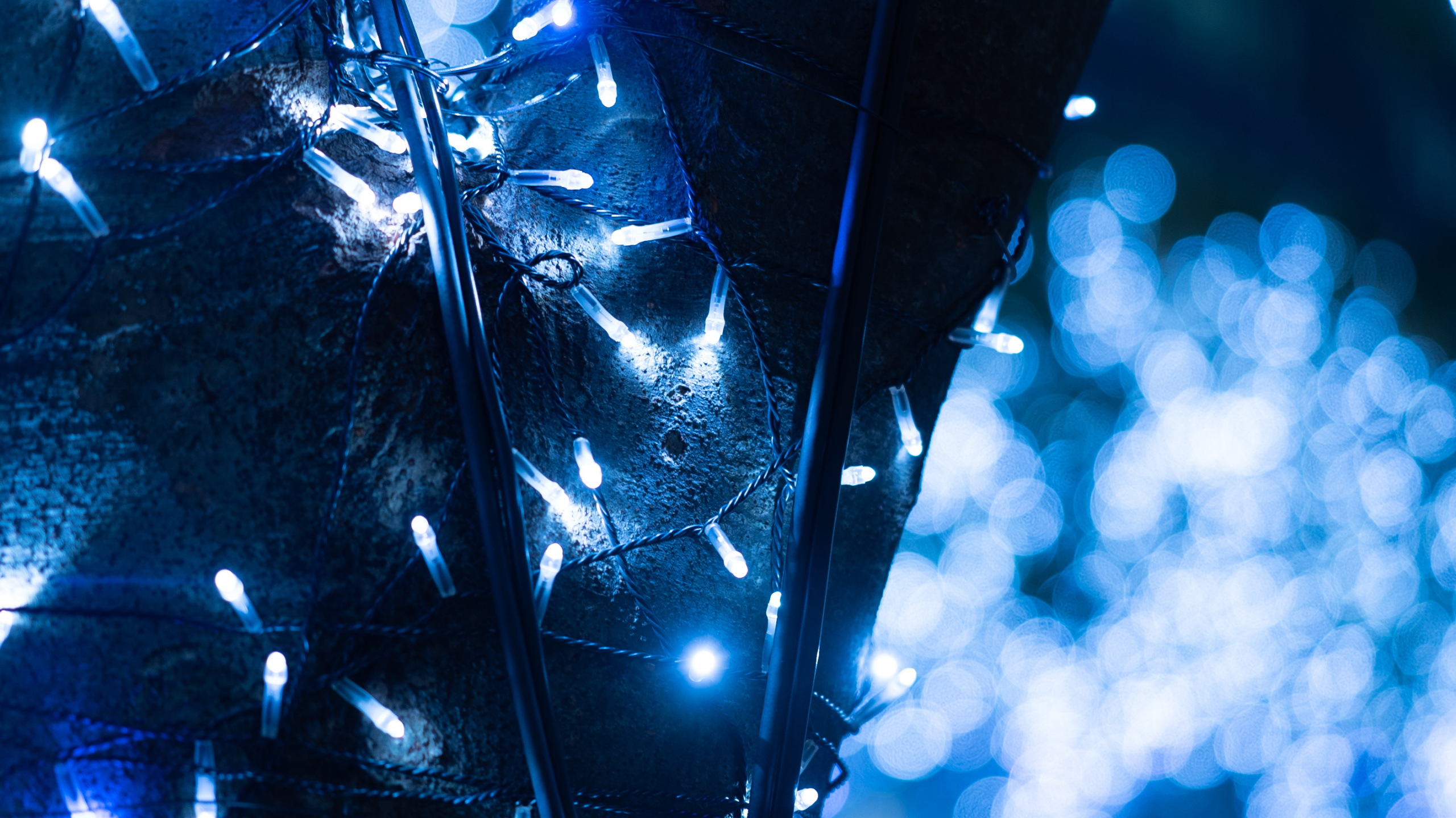 Blue and White String Lights. Wallpaper in 2560x1440 Resolution