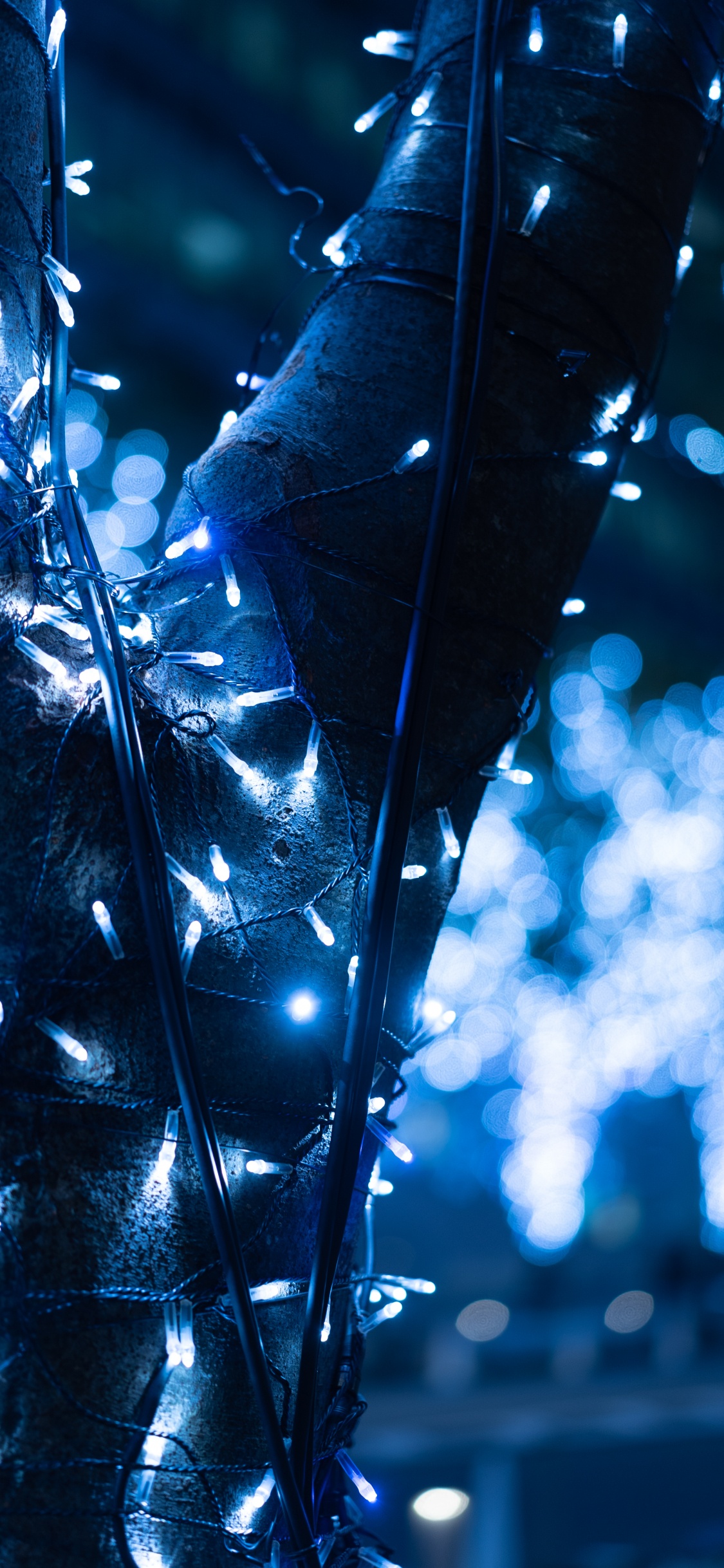 Guirlandes Lumineuses Bleues et Blanches. Wallpaper in 1125x2436 Resolution