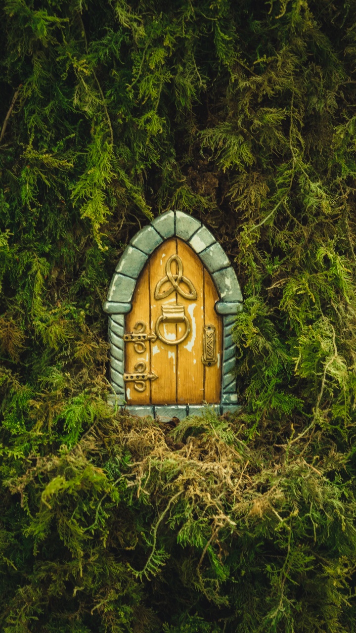 Nature Reserve, Soundcloud, Smartphone, Plant, Wood. Wallpaper in 720x1280 Resolution