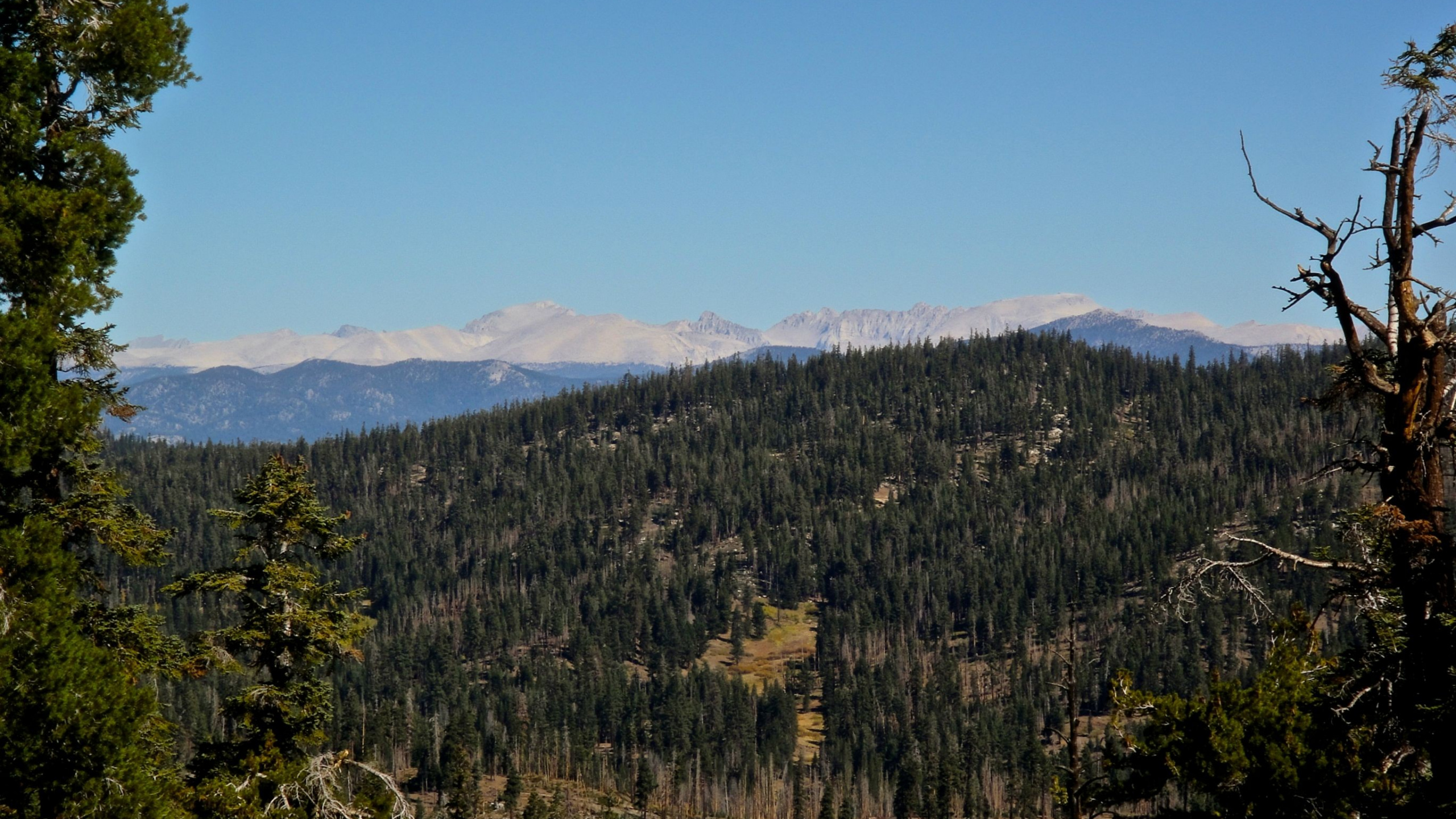 Green Trees on Mountain Under Blue Sky During Daytime. Wallpaper in 2560x1440 Resolution