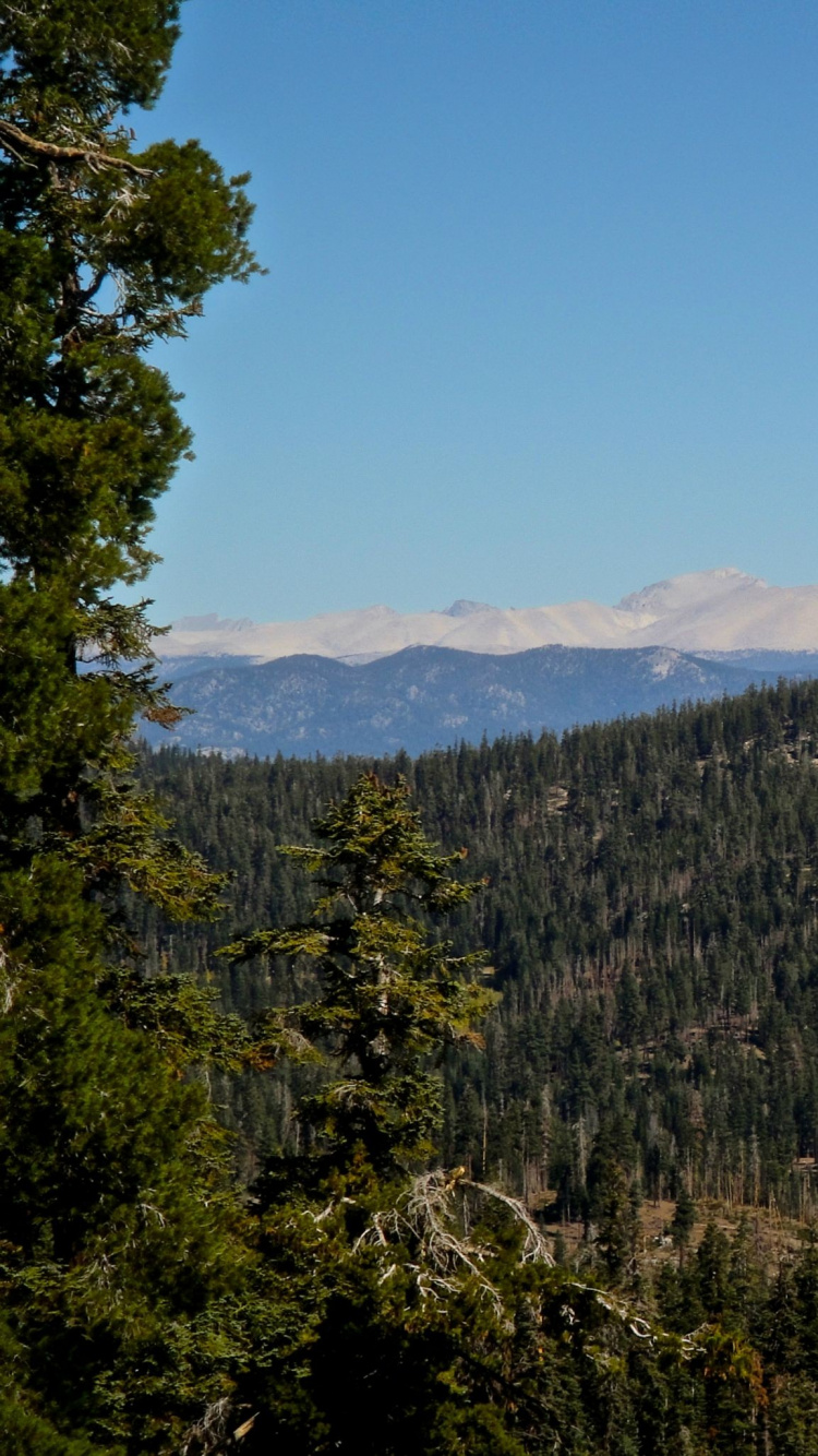 Green Trees on Mountain Under Blue Sky During Daytime. Wallpaper in 750x1334 Resolution