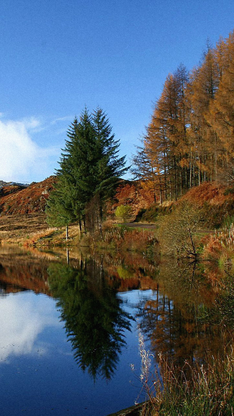 Green and Brown Trees Beside Lake Under Blue Sky During Daytime. Wallpaper in 750x1334 Resolution