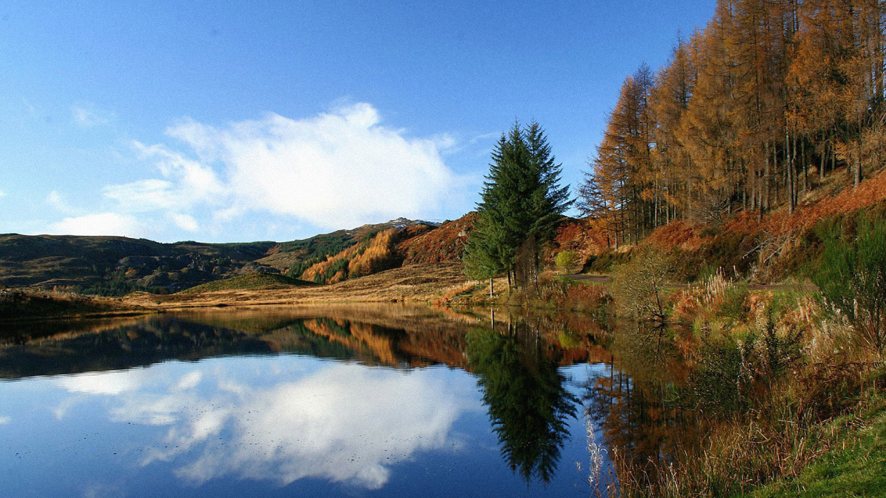 Tagsüber Grüne Und Braune Bäume Neben Dem See Unter Blauem Himmel. Wallpaper in 1280x720 Resolution