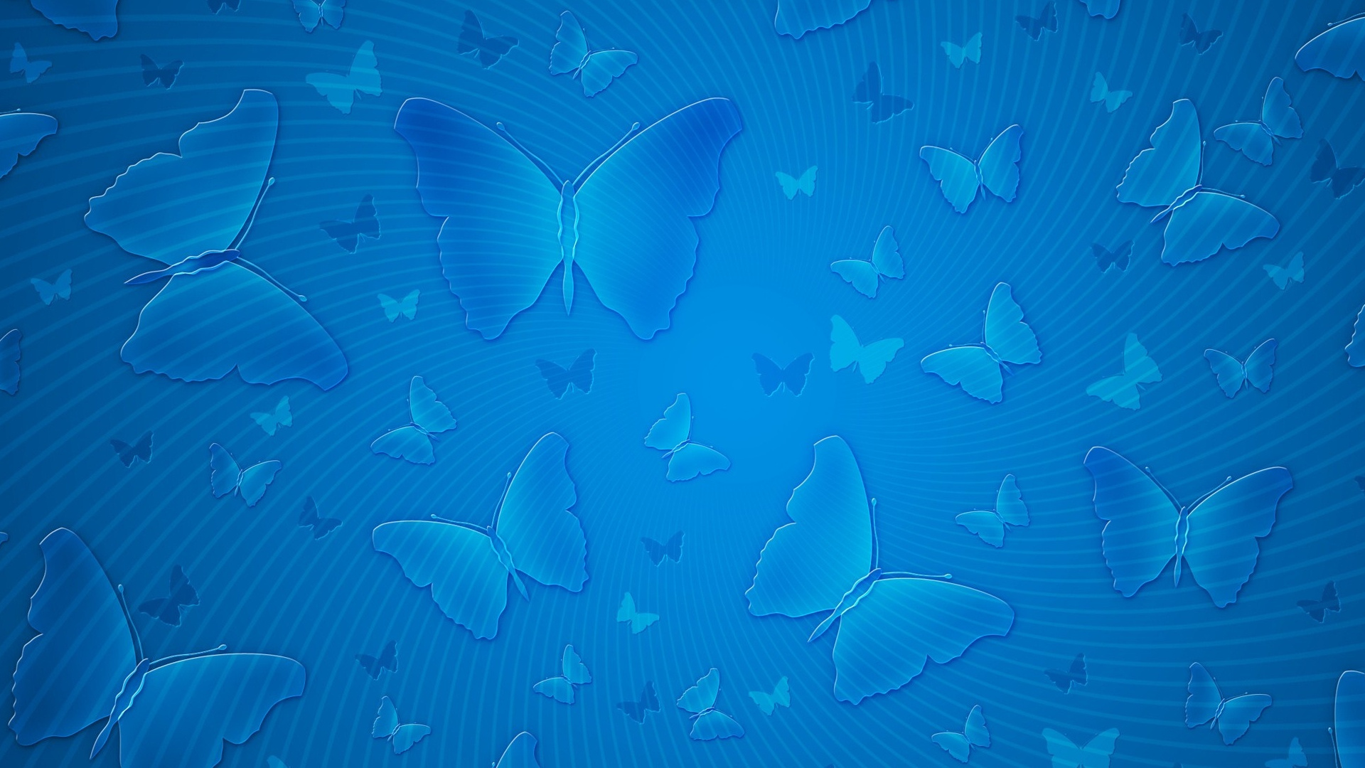 School of Blue and Black Fishes. Wallpaper in 1920x1080 Resolution