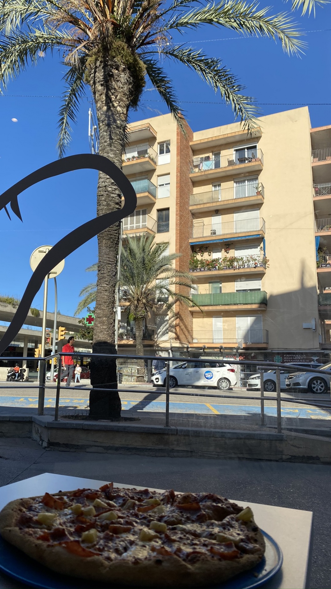 Palmera, Ciencia, Biología, Pizza, Cocina. Wallpaper in 1080x1920 Resolution