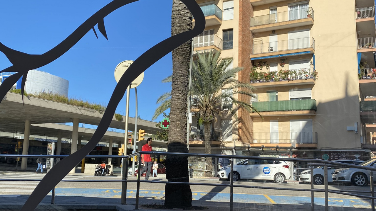 Palmier, Sciences, Biologie, Pizza, Cuisine. Wallpaper in 1280x720 Resolution