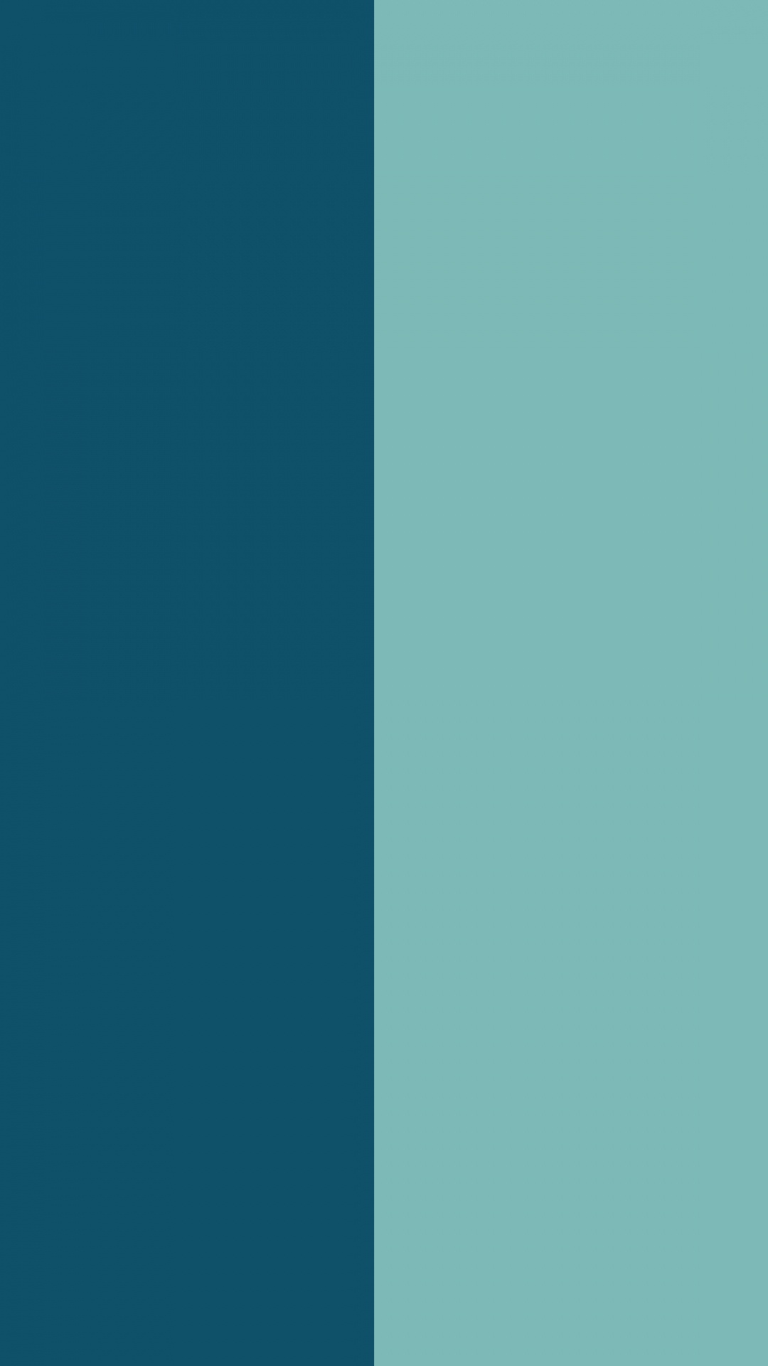 Apple, IPhone, IOS 14, IOS 14 DUAL, Manzana. Wallpaper in 1080x1920 Resolution