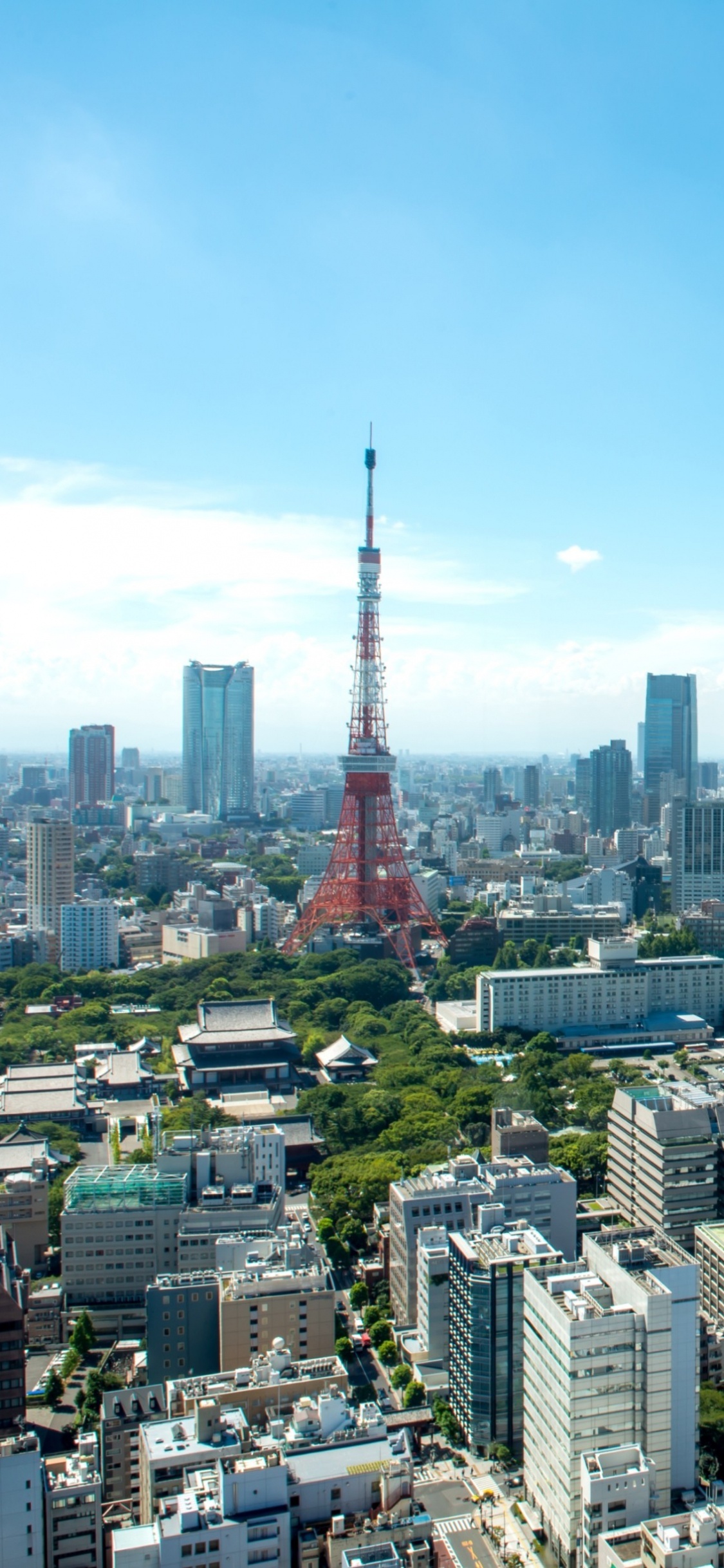 Horizon de la Ville Sous le Ciel Bleu Pendant la Journée. Wallpaper in 1125x2436 Resolution
