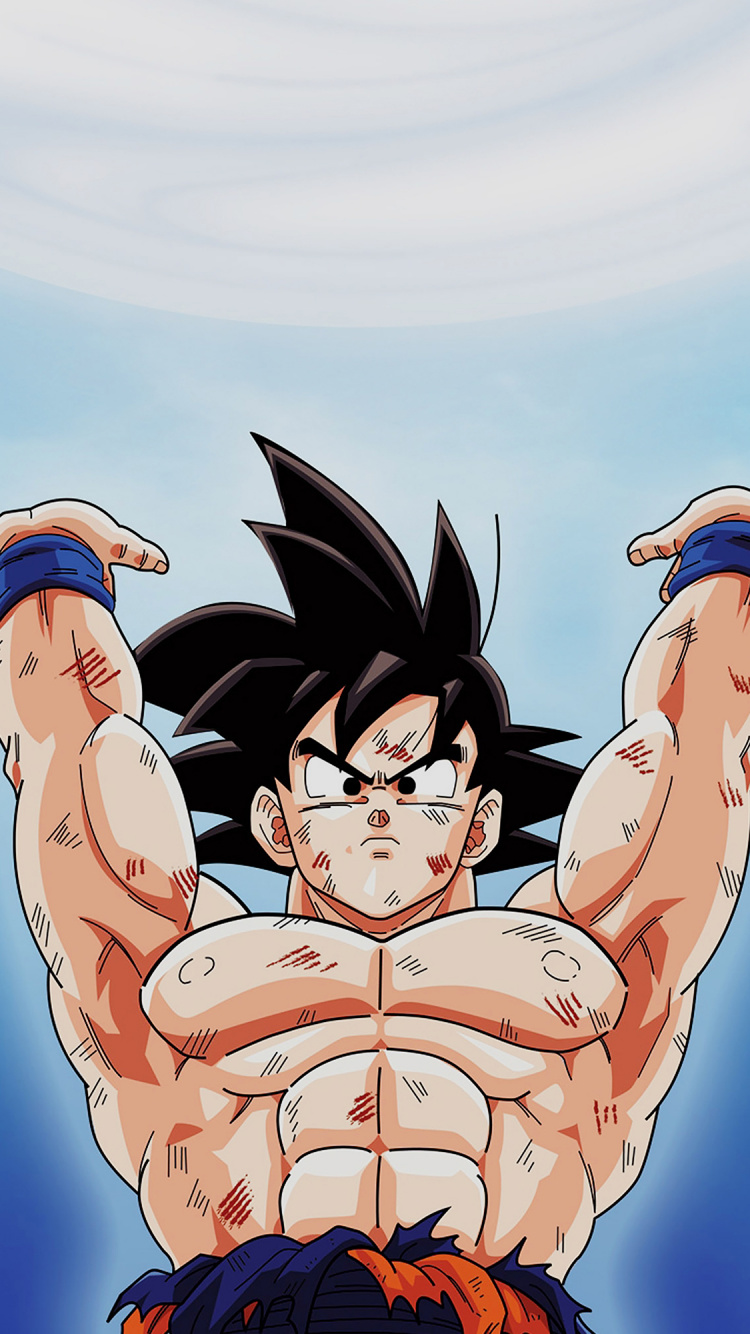 Anime, Dragon Ball Z, Goku, Frialdad, Vegeta. Wallpaper in 750x1334 Resolution