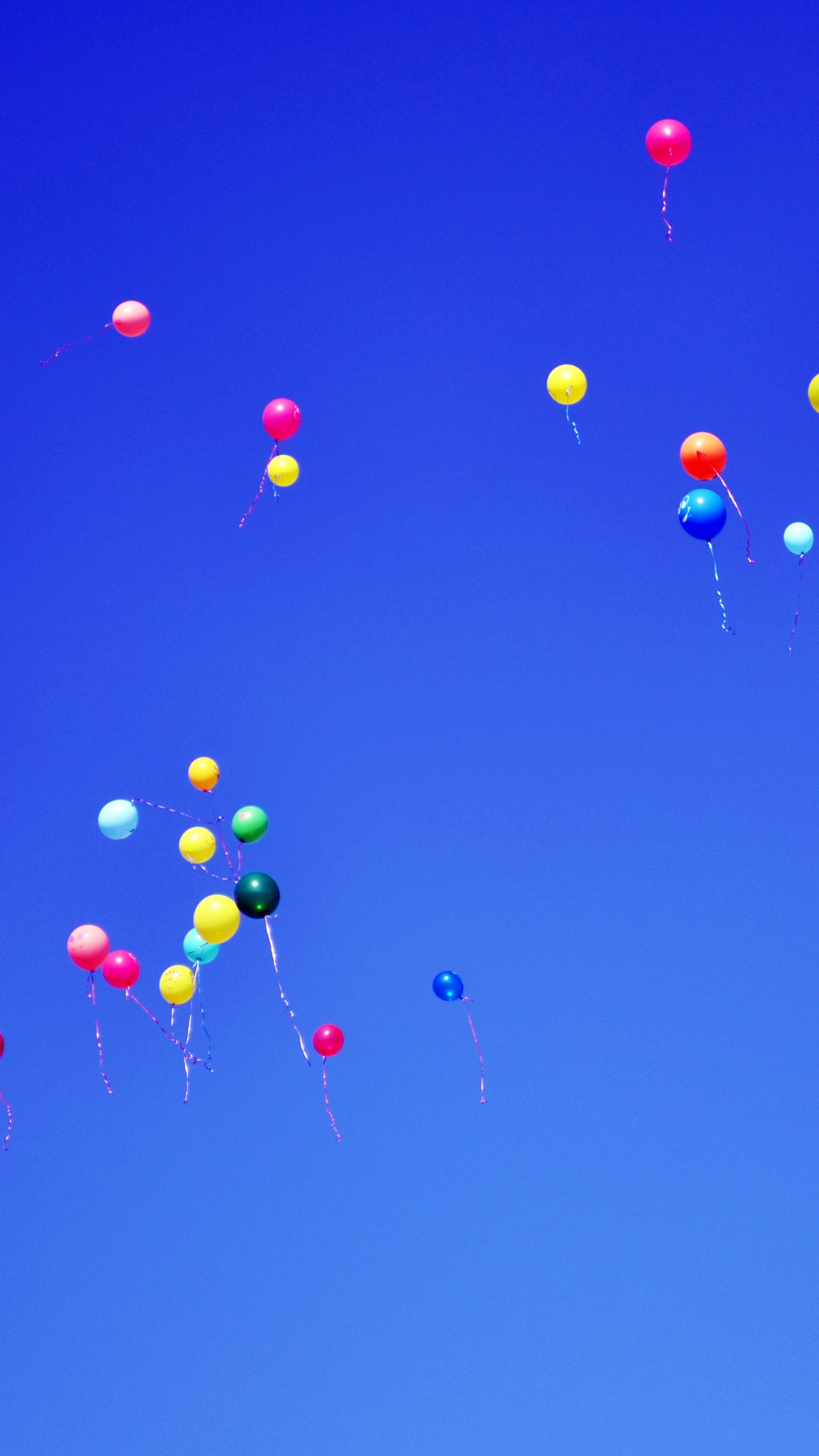 Ballons Rouges Bleus et Jaunes Dans le Ciel. Wallpaper in 1440x2560 Resolution