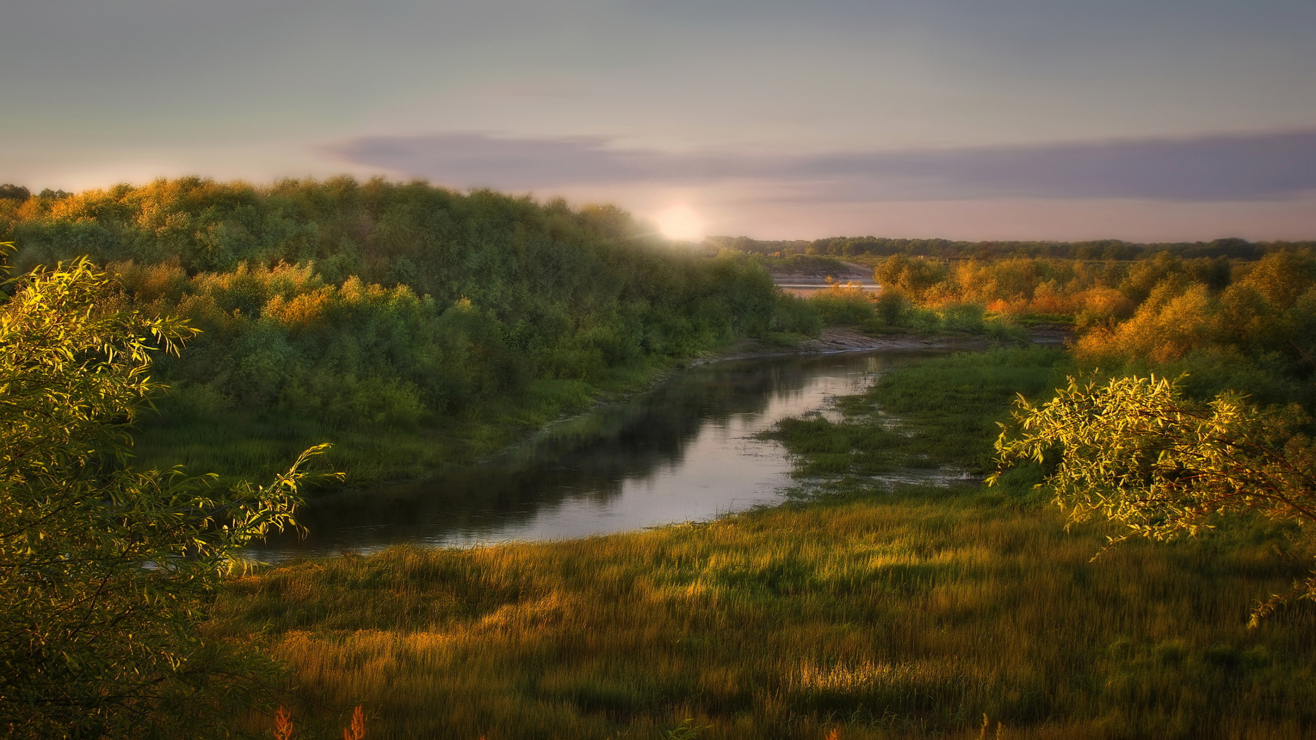 Tagsüber Grüne Bäume am Fluss. Wallpaper in 2560x1440 Resolution