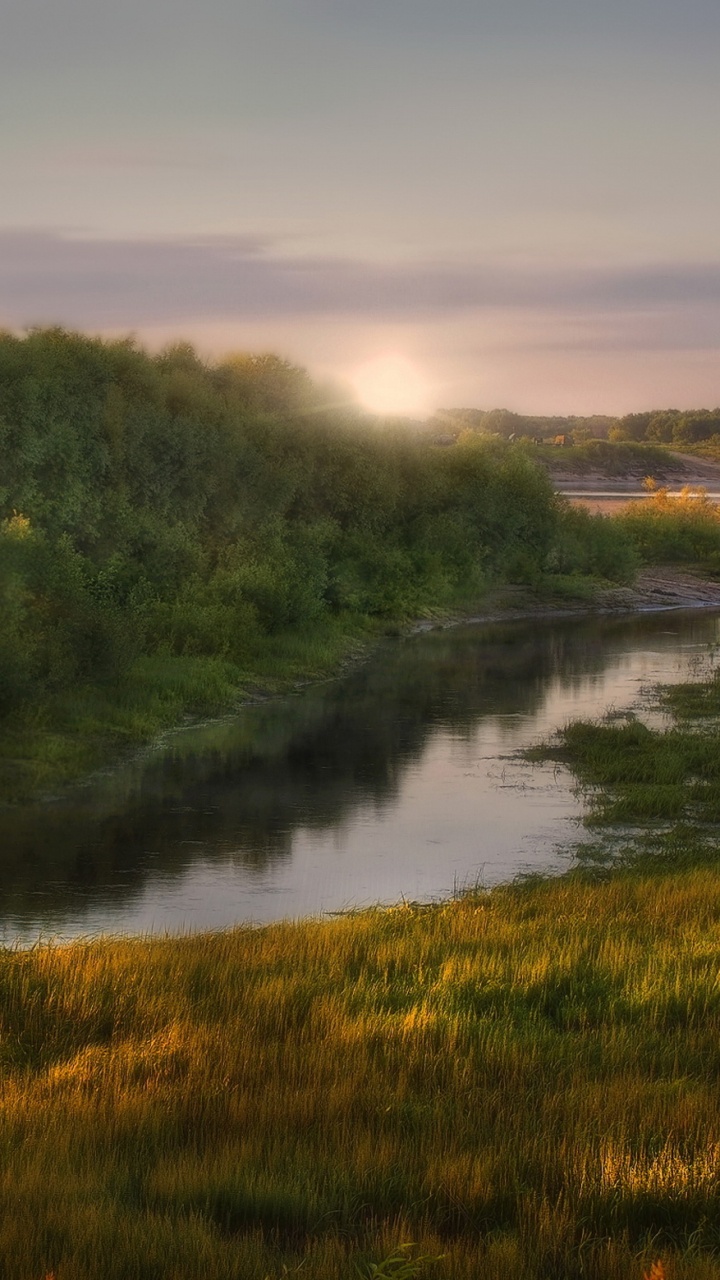 Green Trees Beside River During Daytime. Wallpaper in 720x1280 Resolution