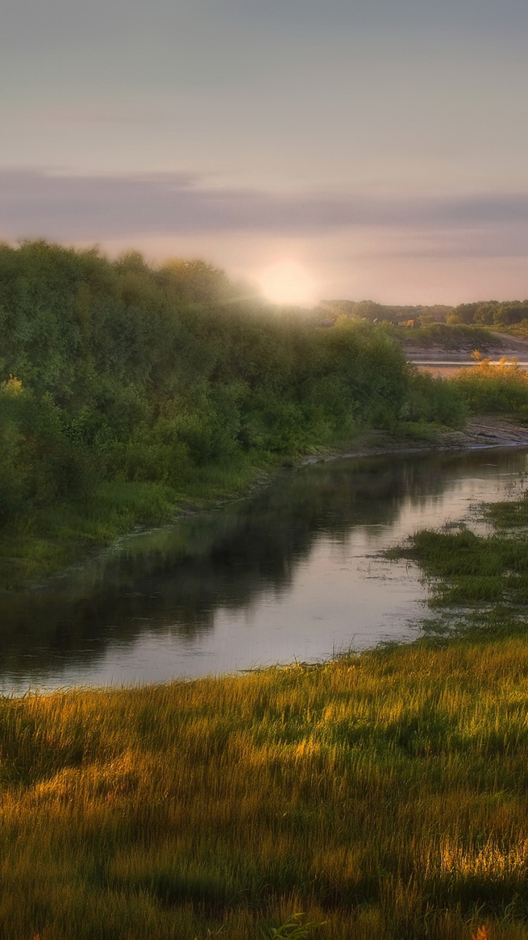Green Trees Beside River During Daytime. Wallpaper in 750x1334 Resolution