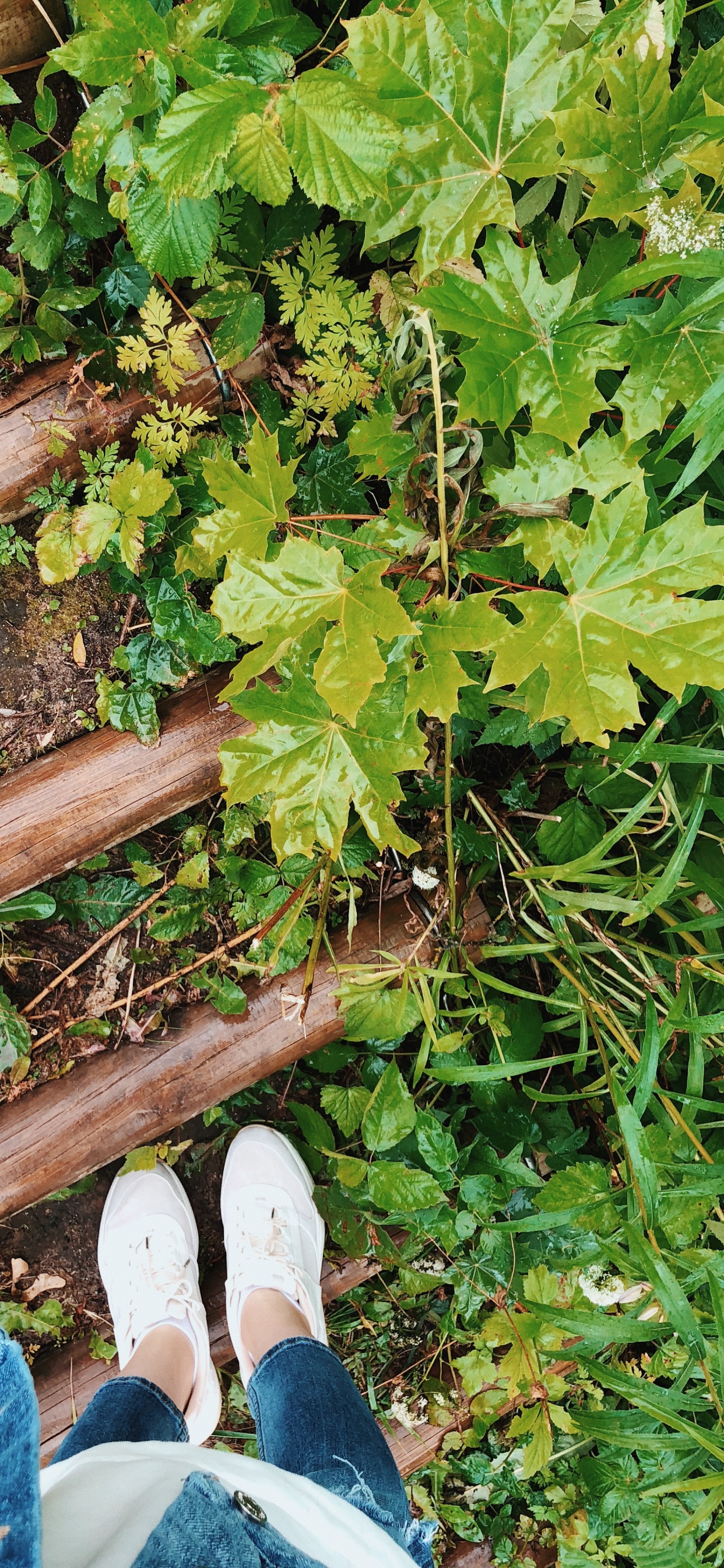 Chaussure, Feuille, Jeans, Les Gens Dans la Nature, Denim. Wallpaper in 1242x2688 Resolution
