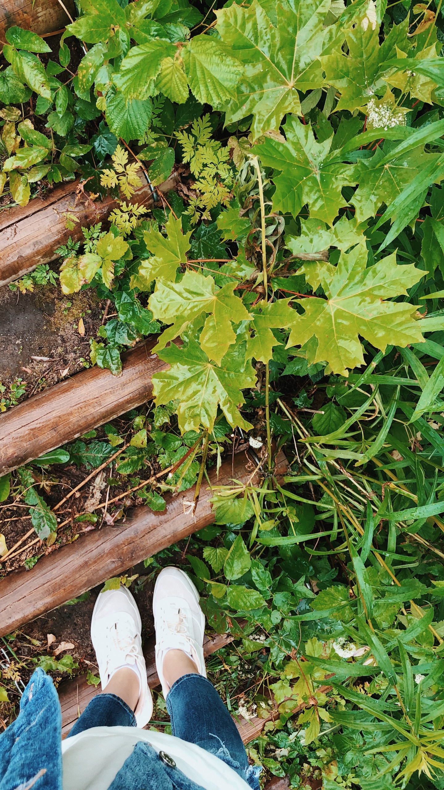 Chaussure, Feuille, Jeans, Les Gens Dans la Nature, Denim. Wallpaper in 1440x2560 Resolution