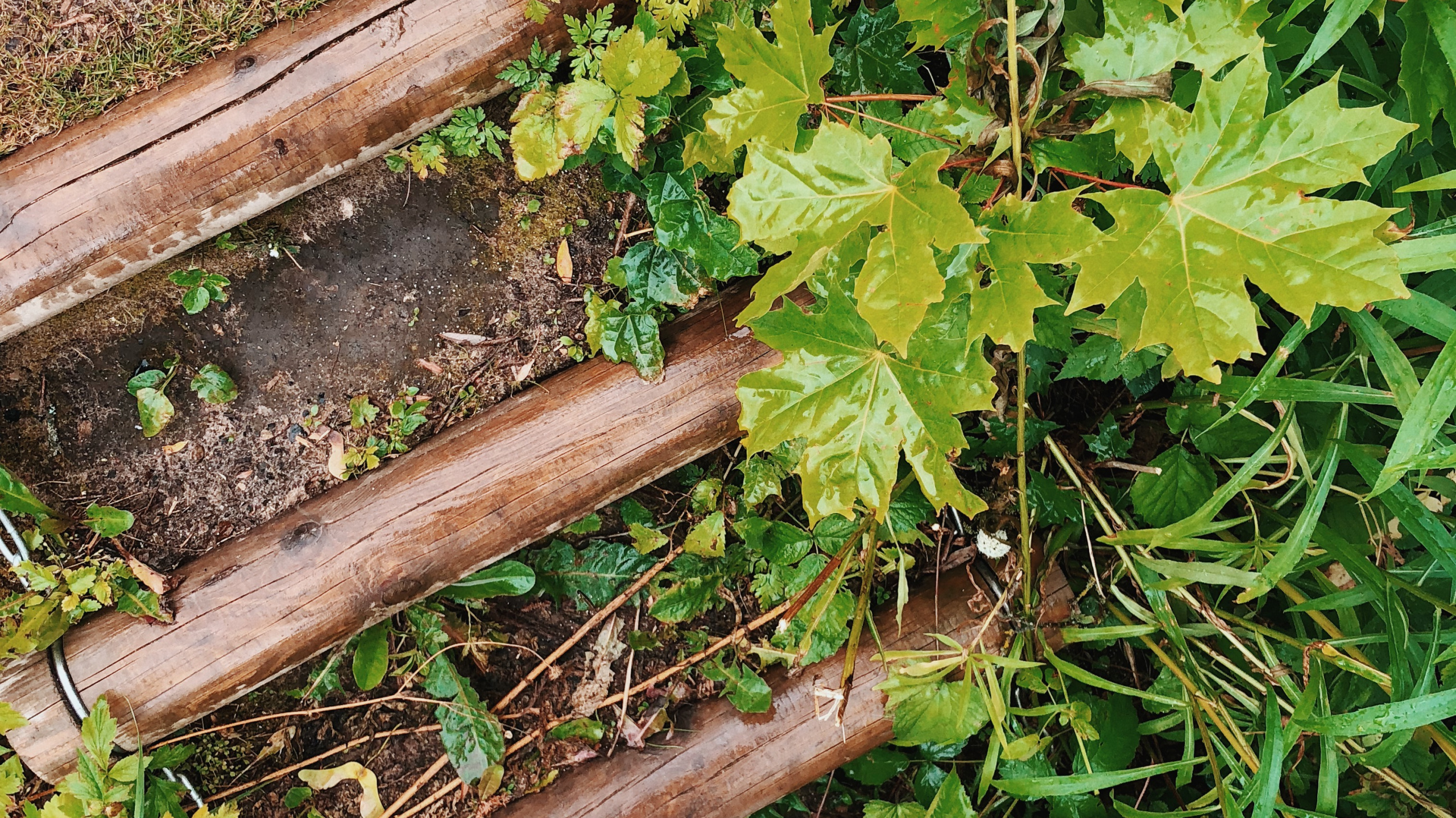 Chaussure, Feuille, Jeans, Les Gens Dans la Nature, Denim. Wallpaper in 2560x1440 Resolution