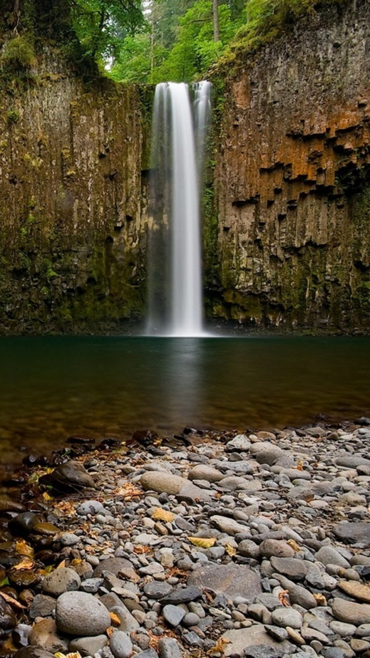 Water Falls in The Middle of The Forest. Wallpaper in 750x1334 Resolution