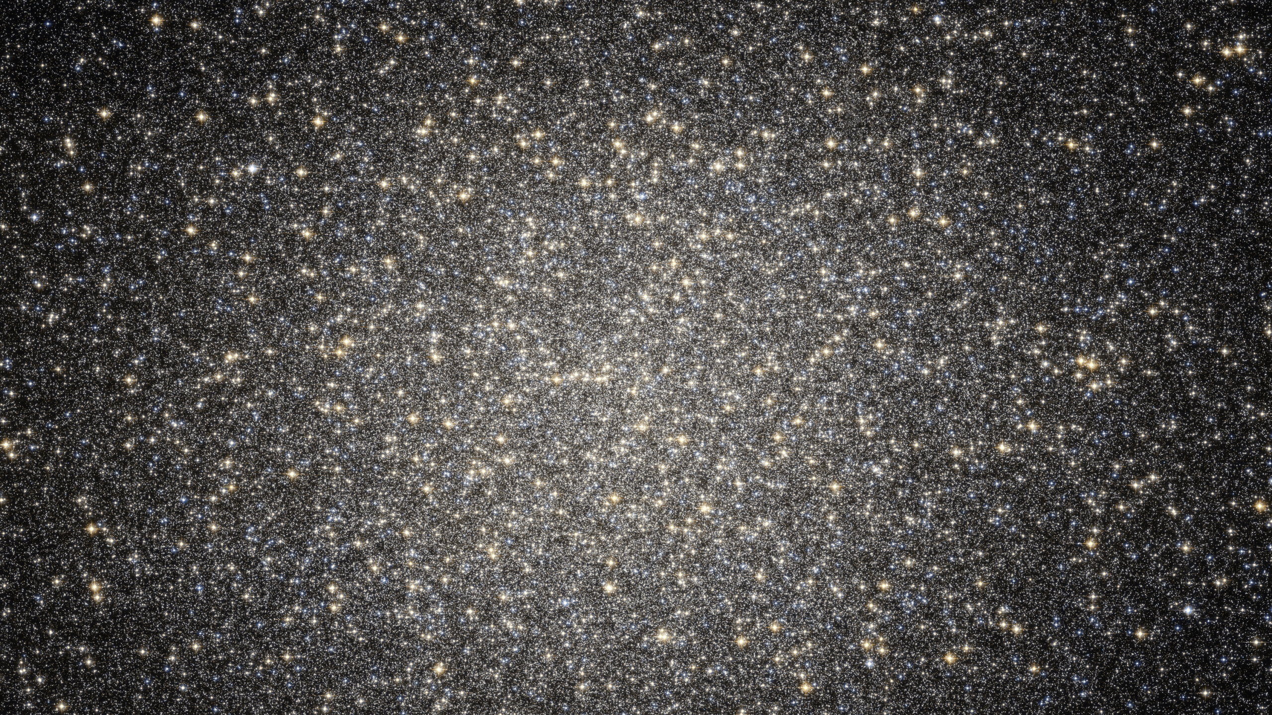 Étoiles Blanches et Noires Dans le Ciel. Wallpaper in 2560x1440 Resolution