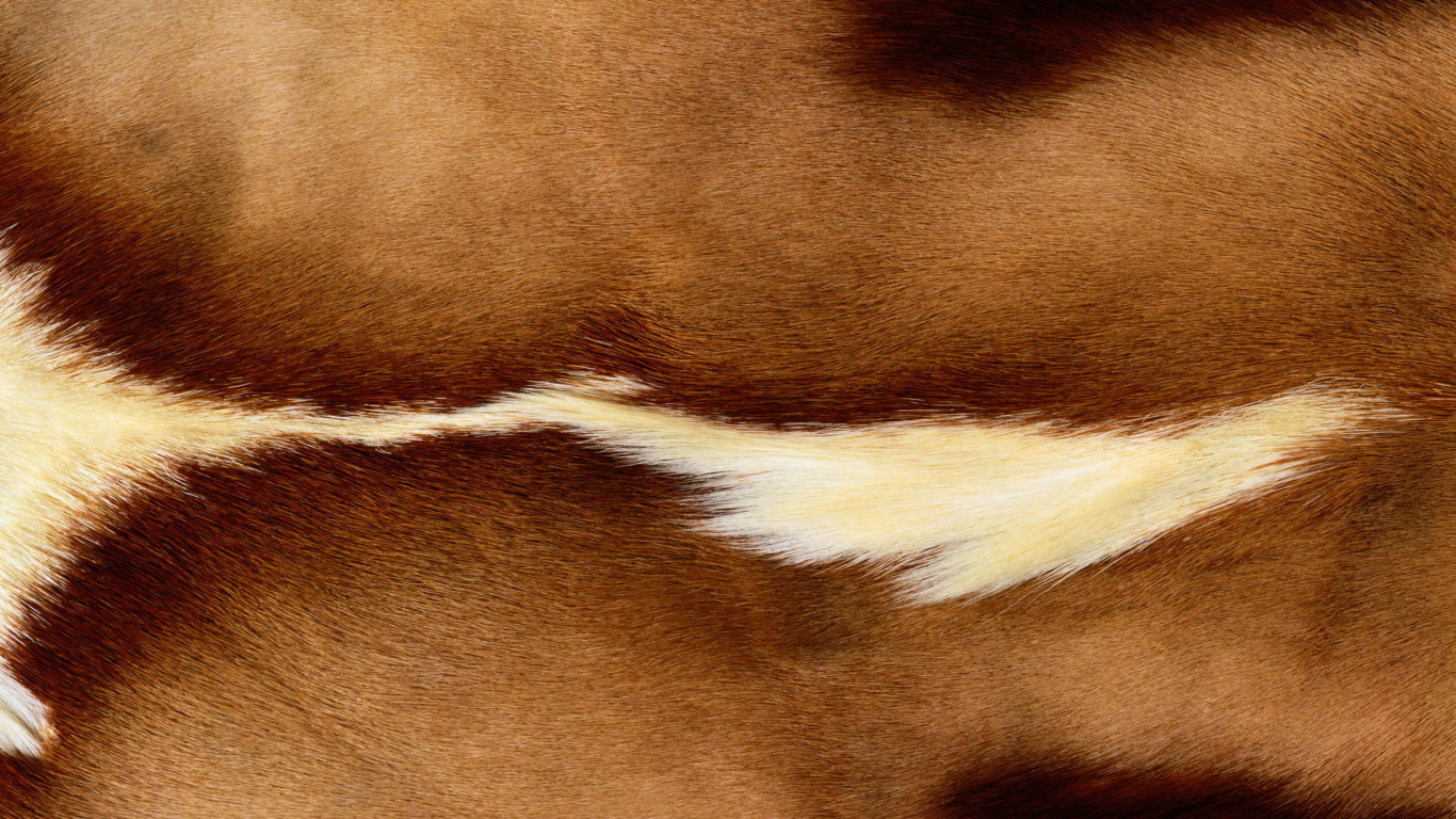 Brown and White Fur Textile. Wallpaper in 1366x768 Resolution