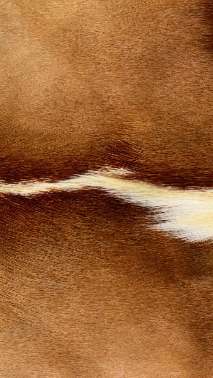 Brown and White Fur Textile. Wallpaper in 720x1280 Resolution