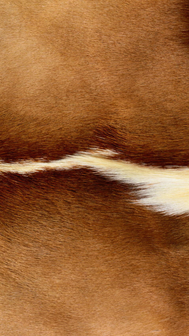Brown and White Fur Textile. Wallpaper in 750x1334 Resolution