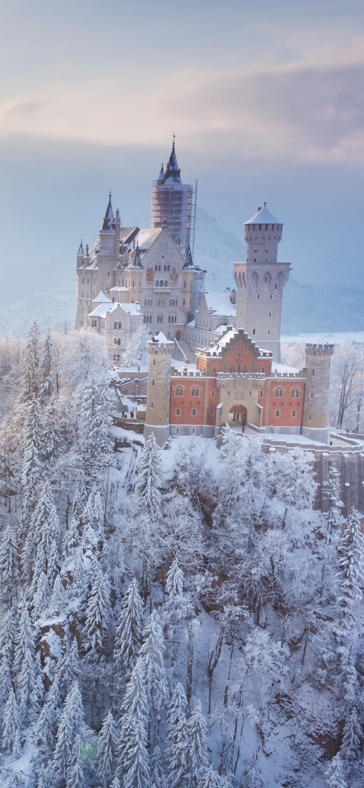 Schneebedeckte Bäume Und Häuser Tagsüber. Wallpaper in 1242x2688 Resolution