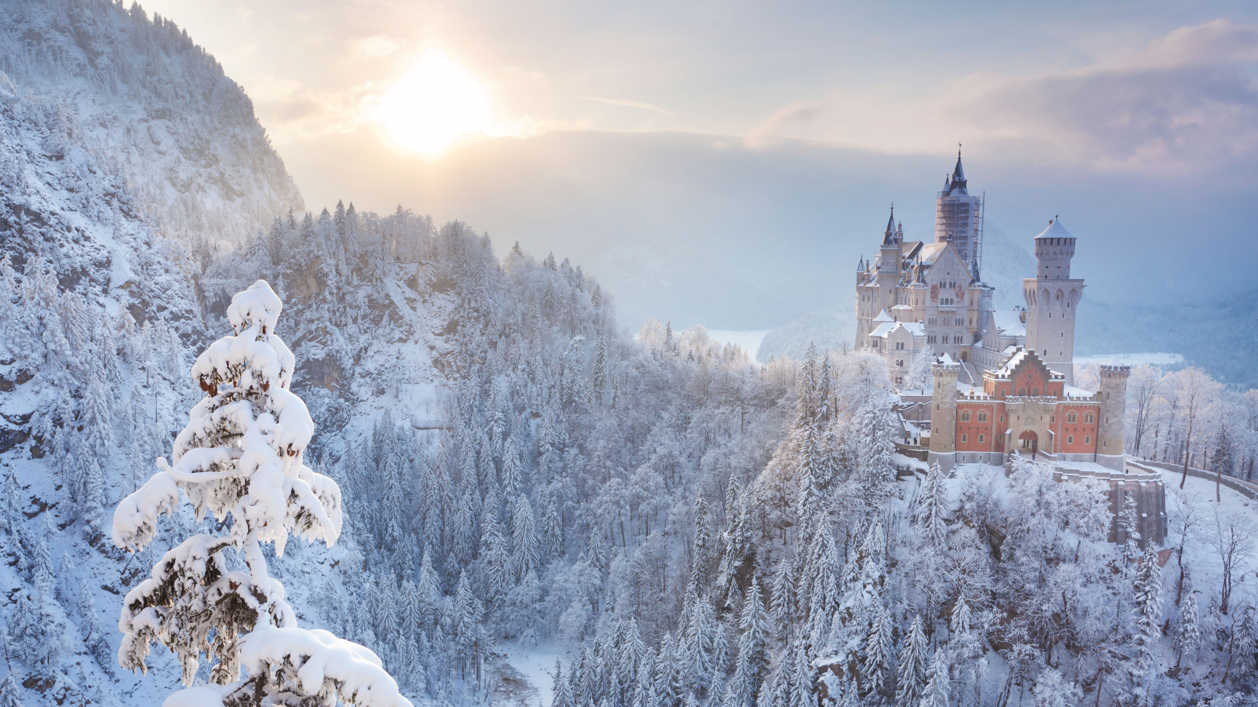 Schneebedeckte Bäume Und Häuser Tagsüber. Wallpaper in 2560x1440 Resolution