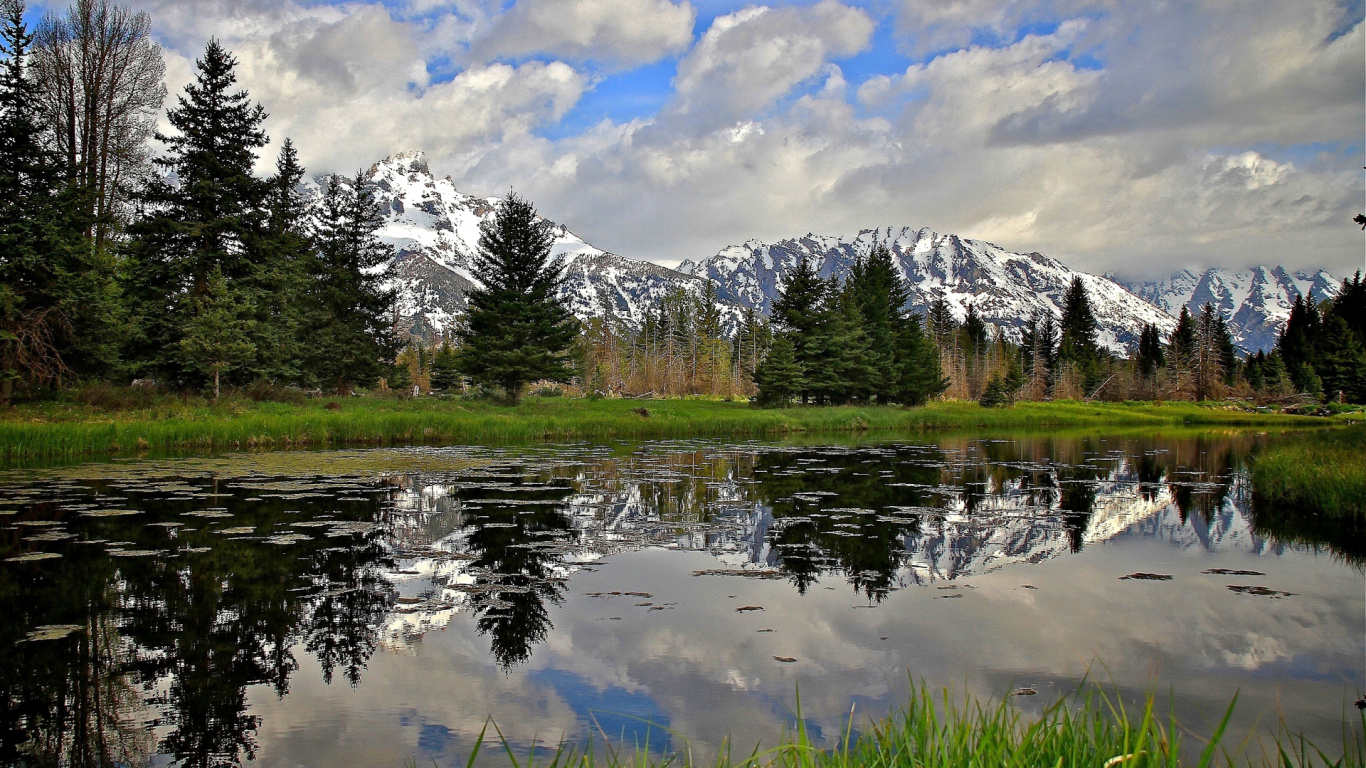 Green Grass Field Near Lake and Trees Under White Clouds and Blue Sky During Daytime. Wallpaper in 1366x768 Resolution