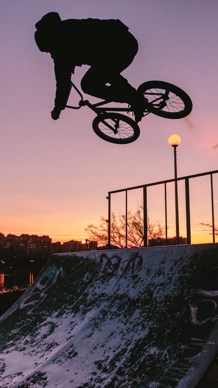 Chien à Poil Court Noir Monté Sur Vélo Noir Pendant la Journée. Wallpaper in 720x1280 Resolution