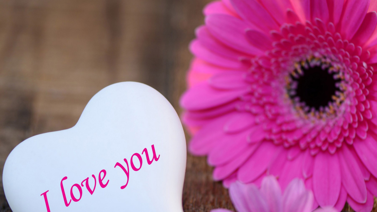 Text. Wallpaper in 1280x720 Resolution