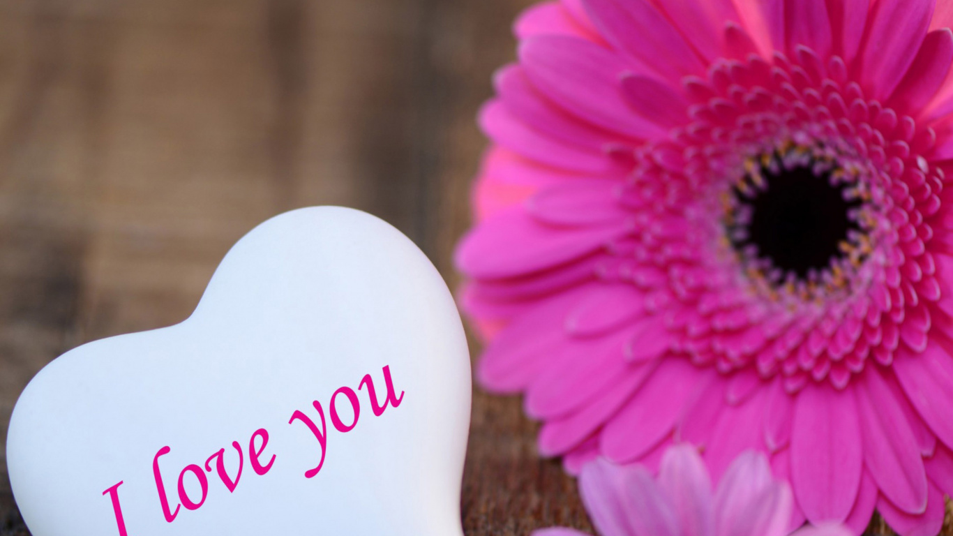 Text. Wallpaper in 1366x768 Resolution