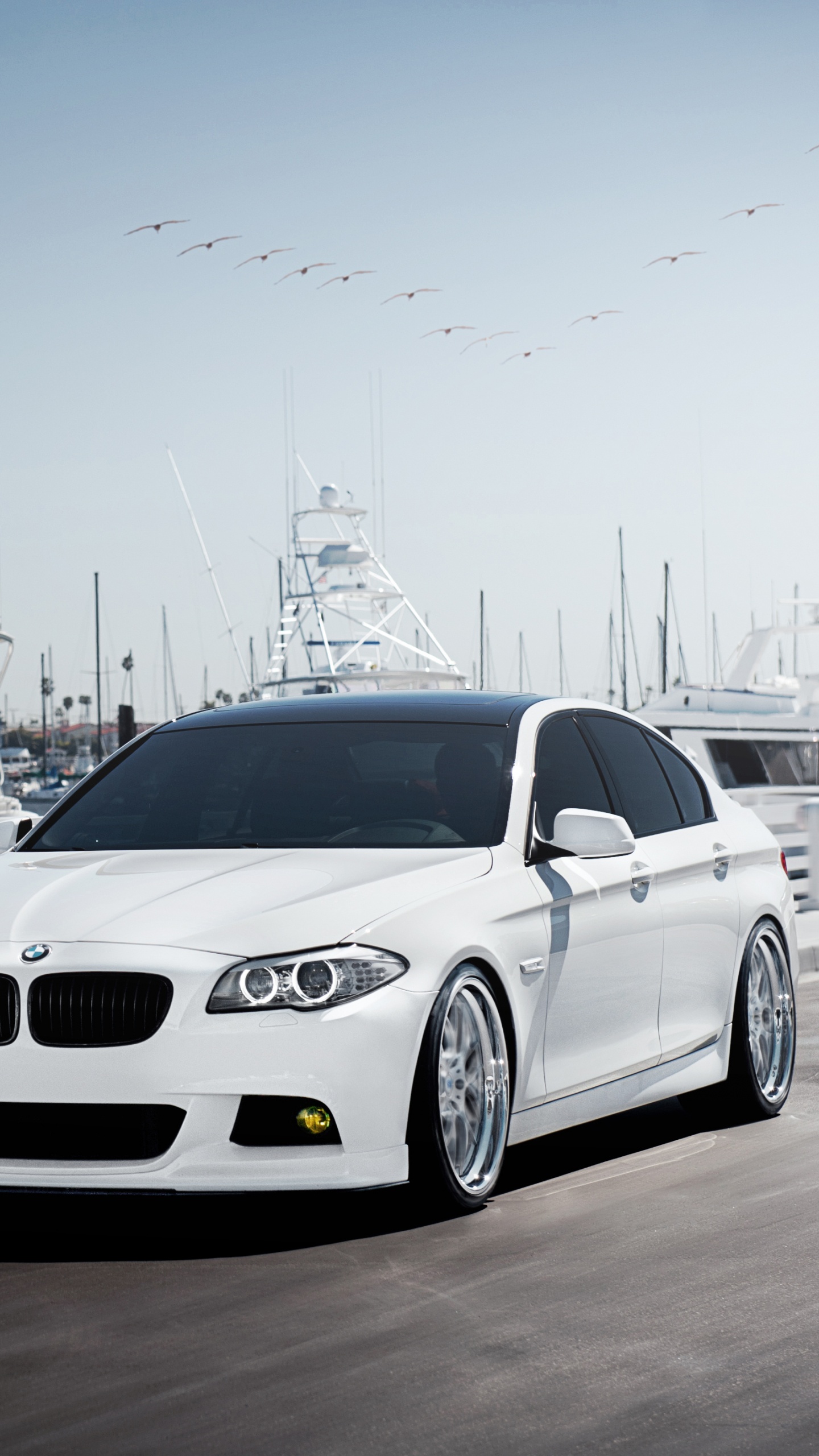 White Bmw m 3 on Road During Daytime. Wallpaper in 1440x2560 Resolution