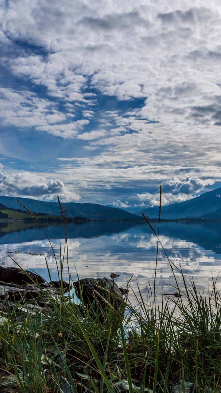 Grünes Gras in Der Nähe Von Gewässern Unter Bewölktem Himmel Tagsüber. Wallpaper in 720x1280 Resolution