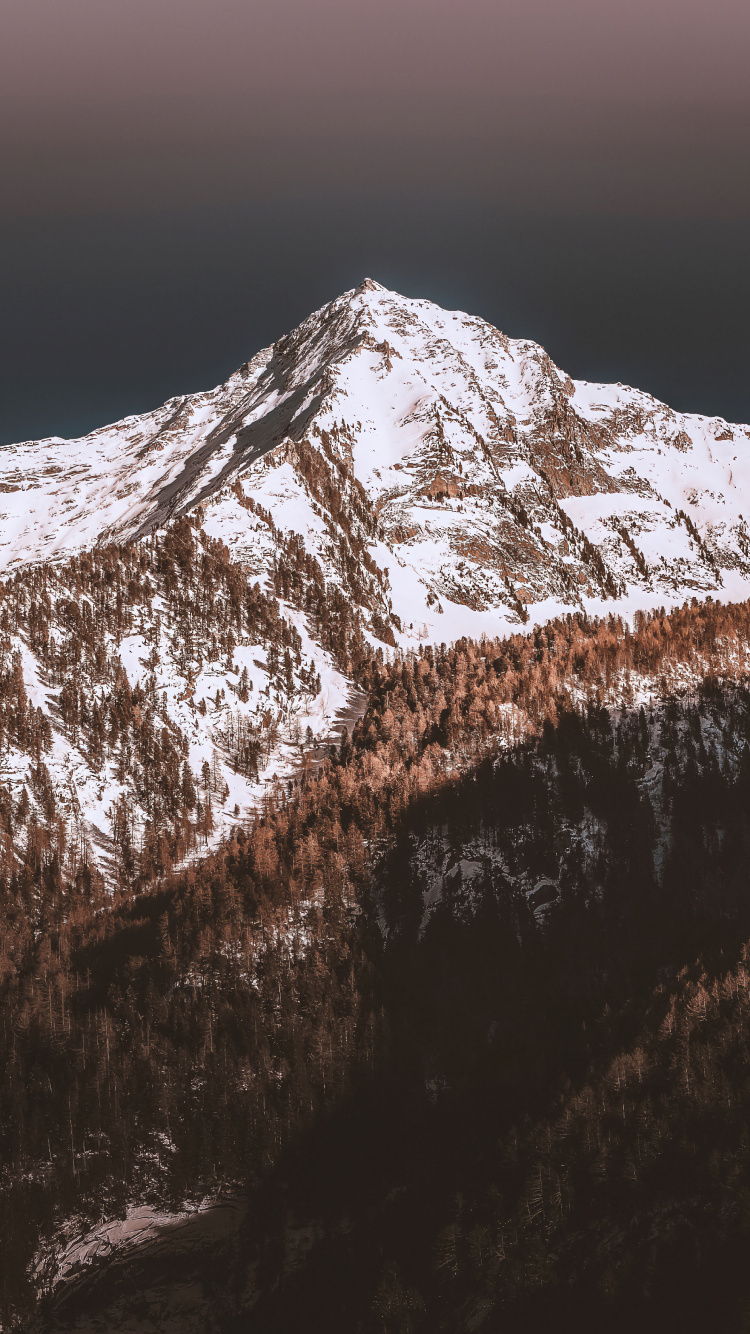 Montaña, Nieve, Naturaleza, Madera, Paisaje Natural. Wallpaper in 750x1334 Resolution