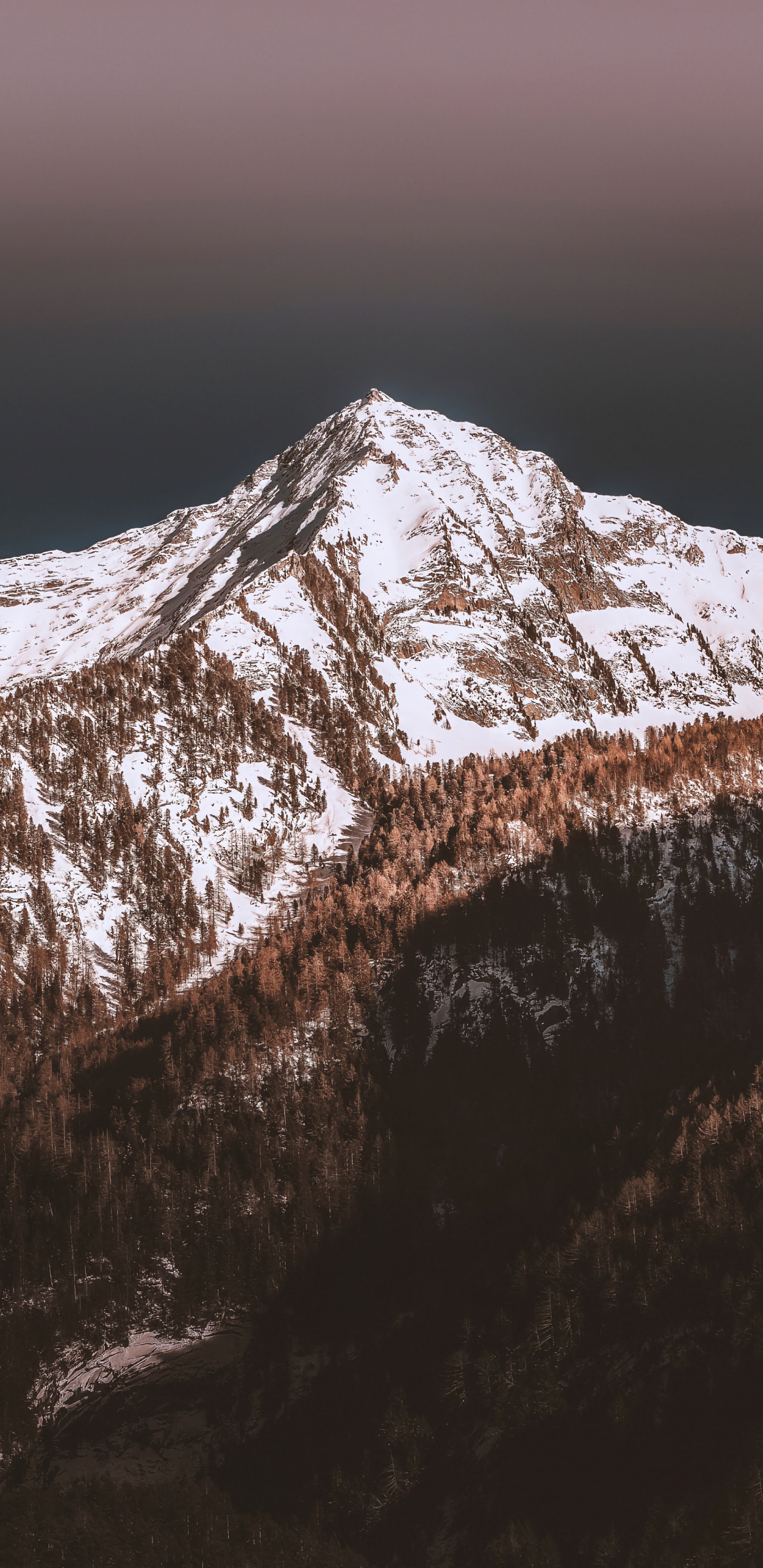 Mountain, Snow, Nature, Mountain Range, Wood. Wallpaper in 1440x2960 Resolution