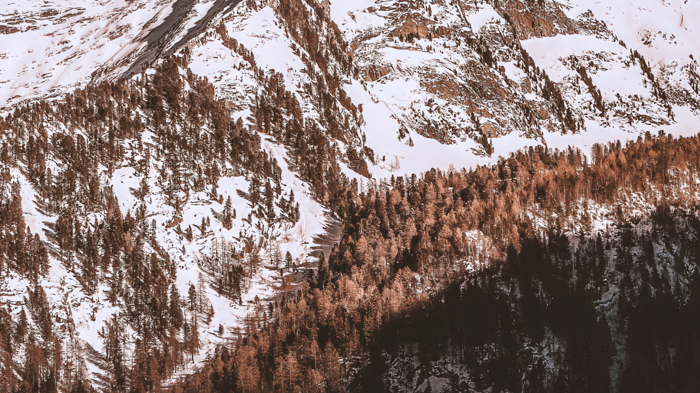 Schnee, Natur, Bergkette, Holz, Naturlandschaft. Wallpaper in 1366x768 Resolution