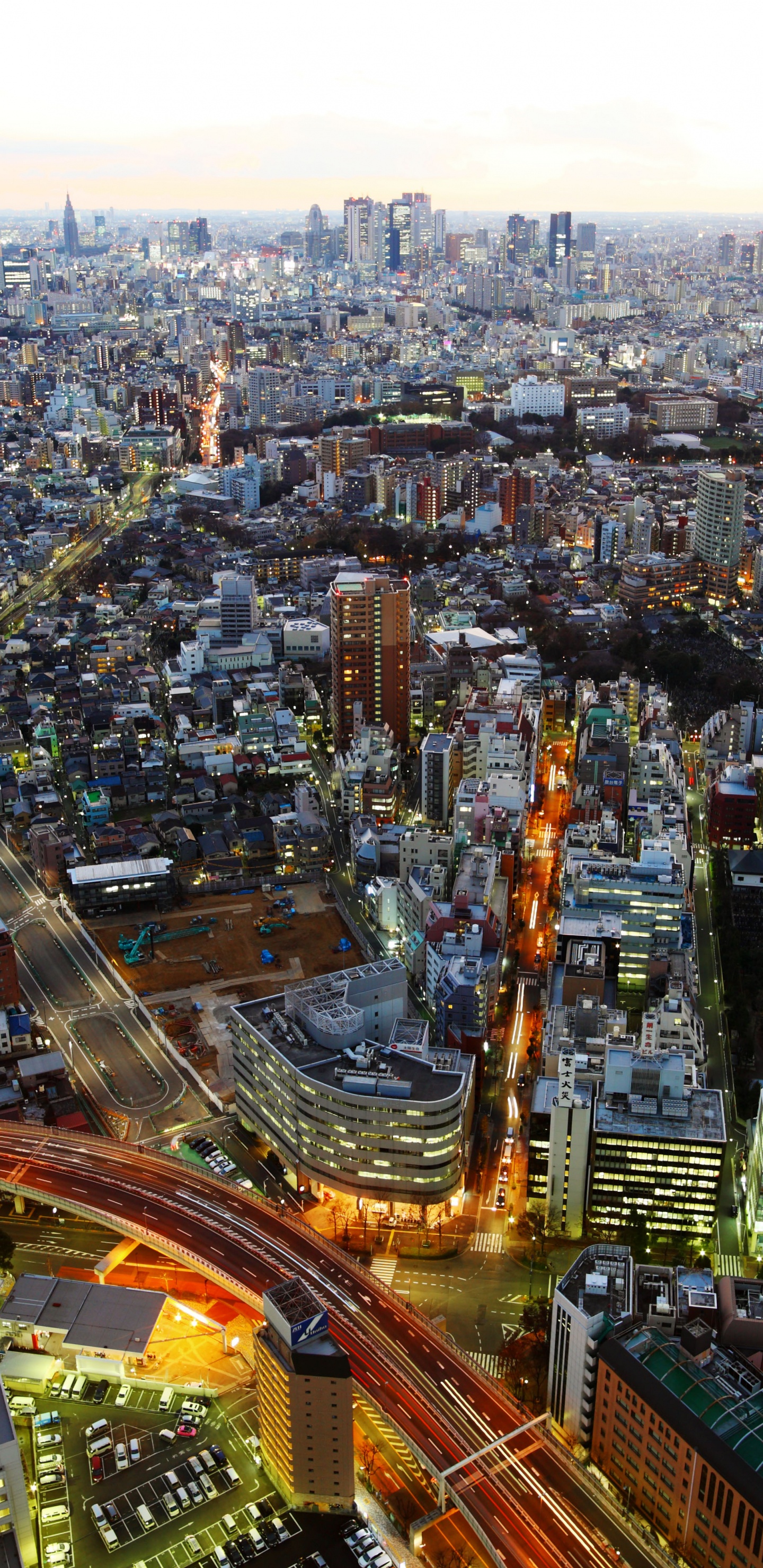 东京, 全景图, 城市景观, 城市, 大都会 壁纸 1440x2960 允许