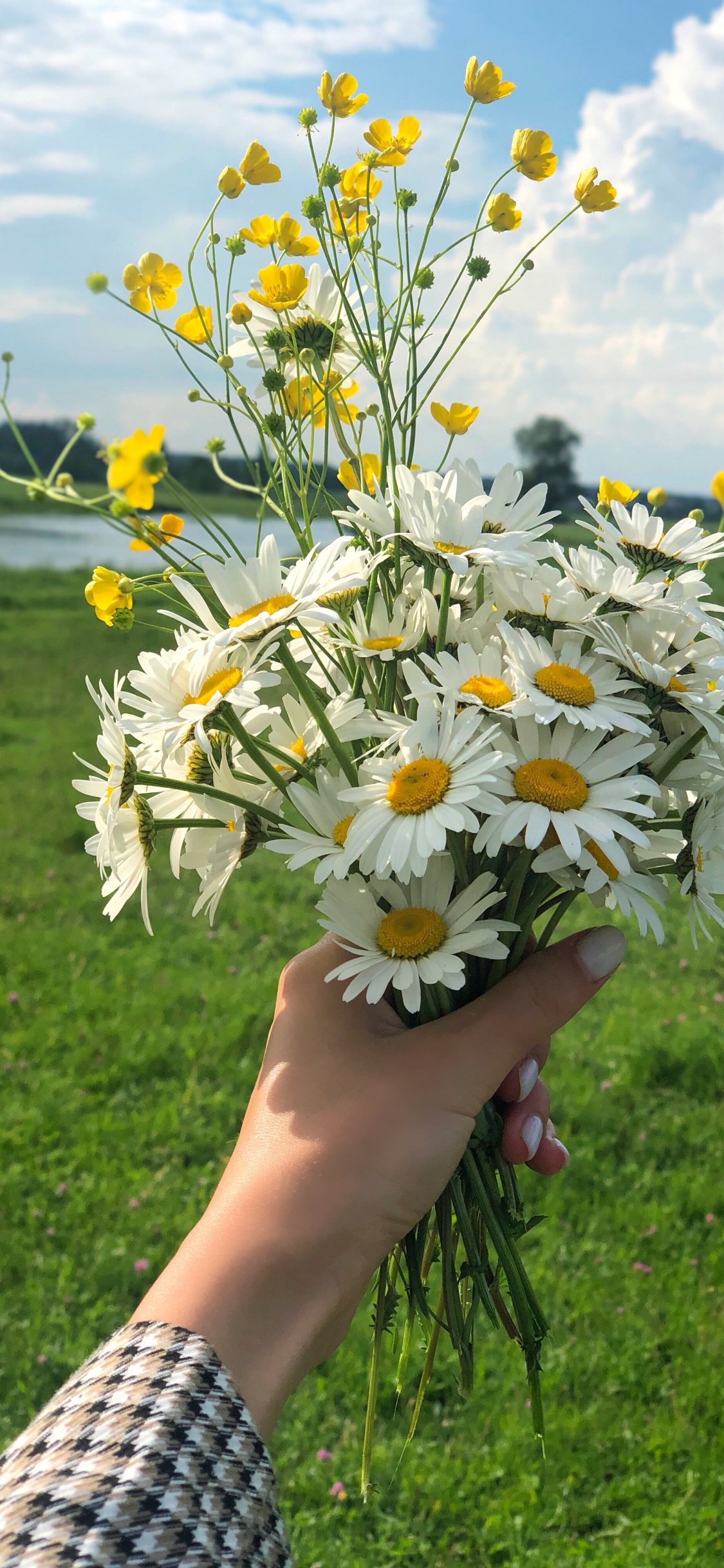 Spring, Floral Design, Flowering Plant, Cut Flowers, Flower Bouquet. Wallpaper in 1125x2436 Resolution