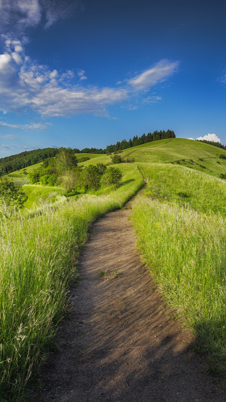 Nature Grassland Landscape, Grassland, Nature, Landscape, Rural Area. Wallpaper in 750x1334 Resolution