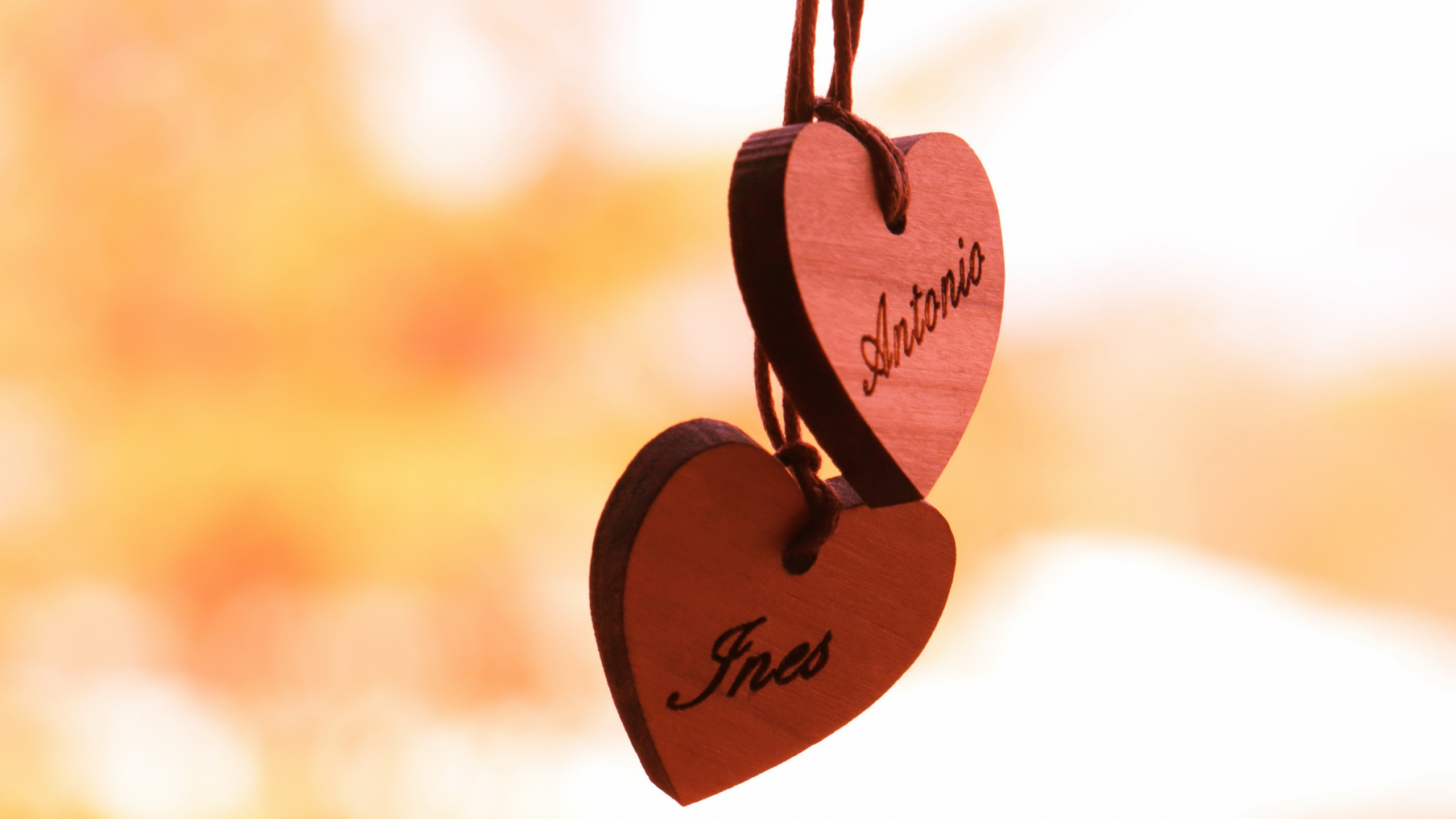 Herzen, Liebe, Glück, Hass, Freundschaft. Wallpaper in 2560x1440 Resolution