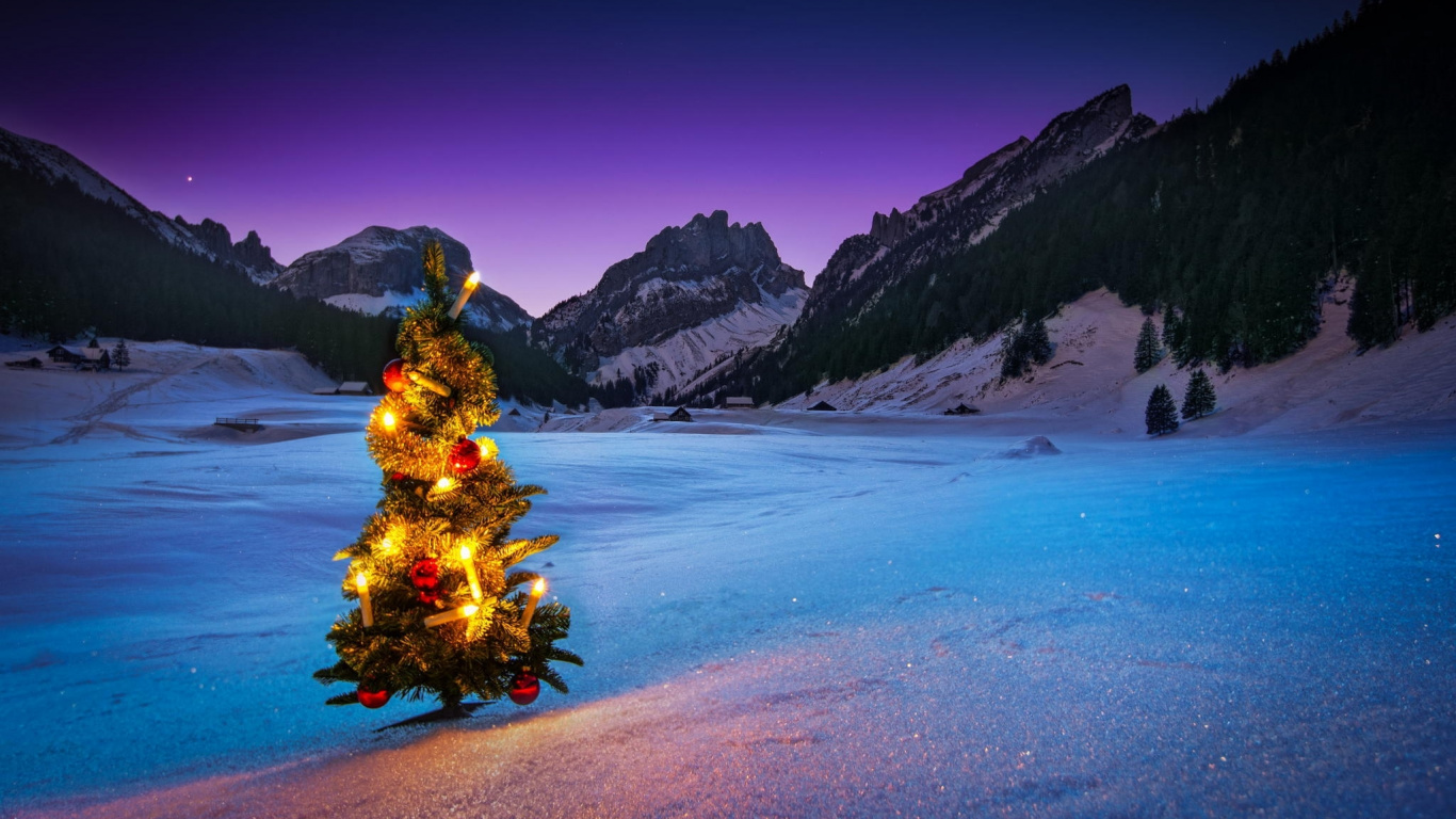 Green and Red Christmas Tree With Yellow and Red Baubles on Gray Sand Near Blue Lake. Wallpaper in 1366x768 Resolution