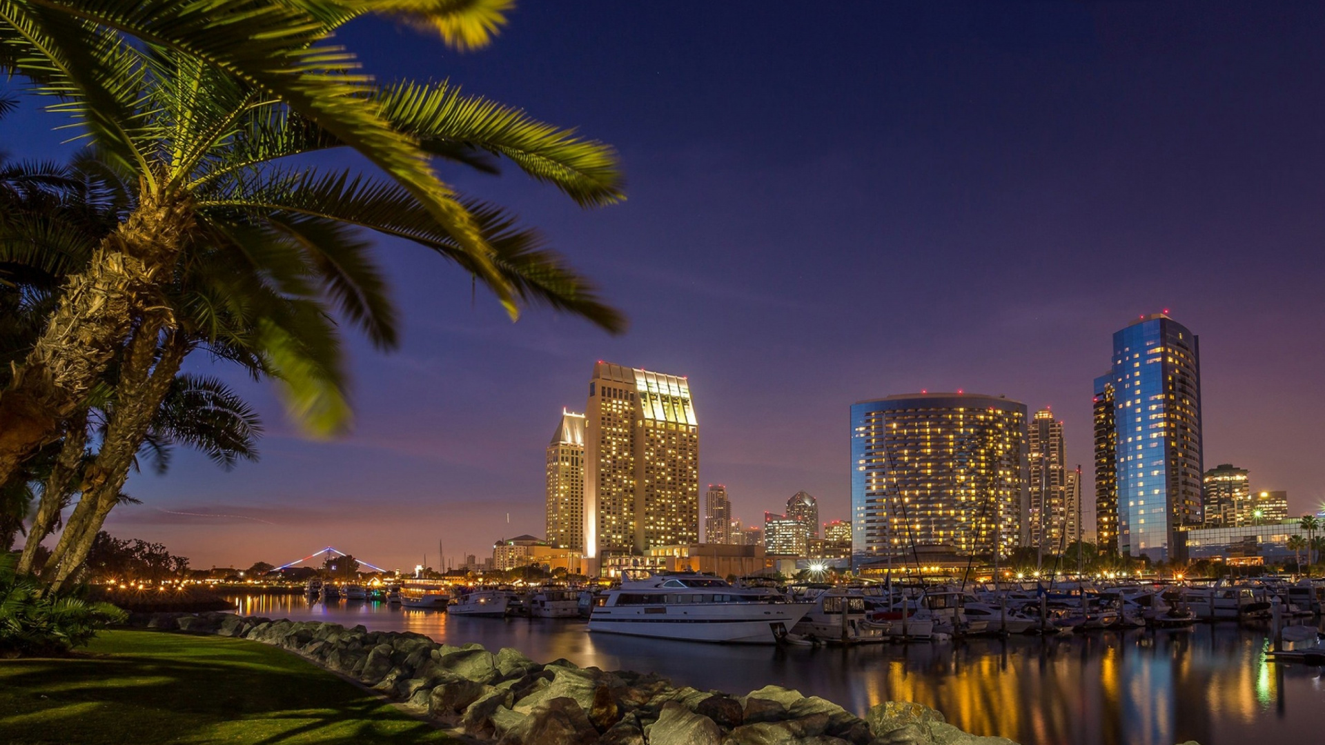 Green Palm Tree Near Body of Water During Night Time. Wallpaper in 1920x1080 Resolution