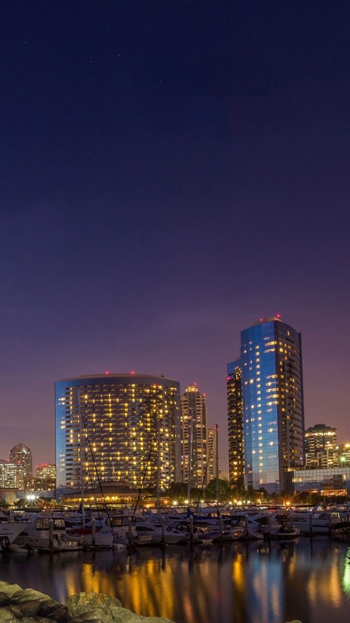 Palmier Vert Près du Plan D'eau Pendant la Nuit. Wallpaper in 720x1280 Resolution