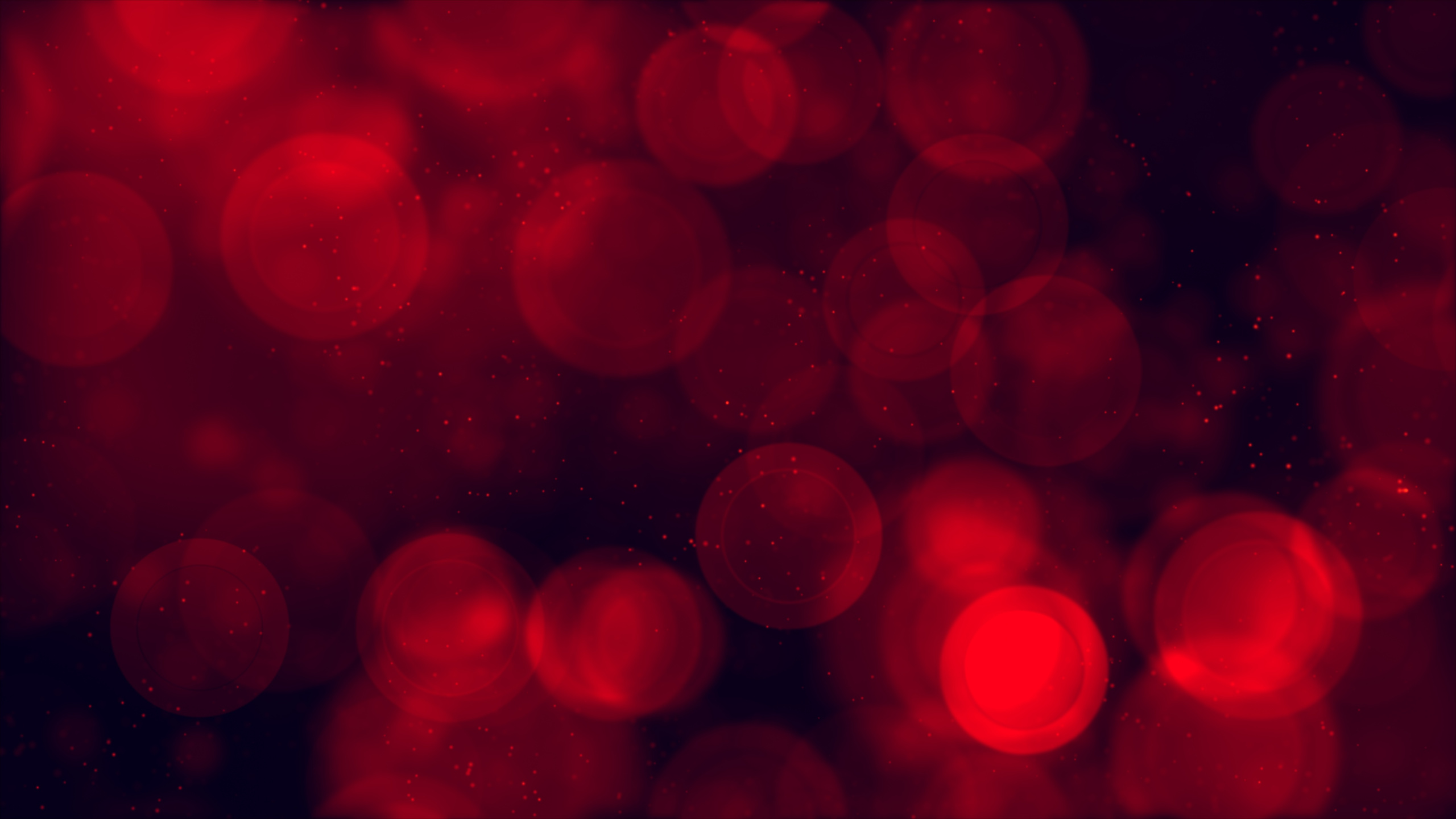 Bokeh de Luz Roja y Blanca. Wallpaper in 2560x1440 Resolution