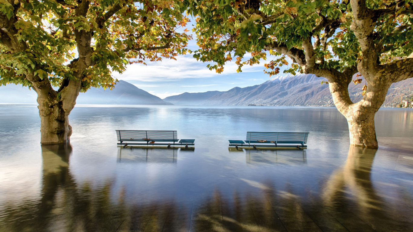 Grüner Baum in Der Nähe Eines Gewässers Tagsüber Water. Wallpaper in 1366x768 Resolution