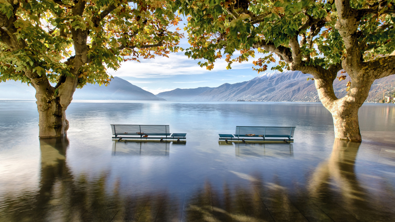 Green Tree Near Body of Water During Daytime. Wallpaper in 1280x720 Resolution