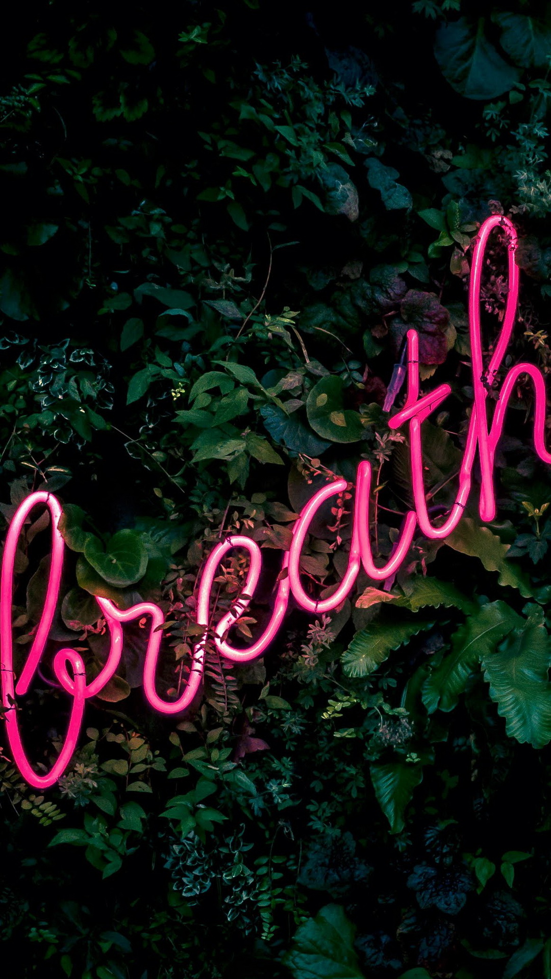 Barra de Vida, Verde, la Vegetación, Planta Terrestre, Arbusto. Wallpaper in 1080x1920 Resolution