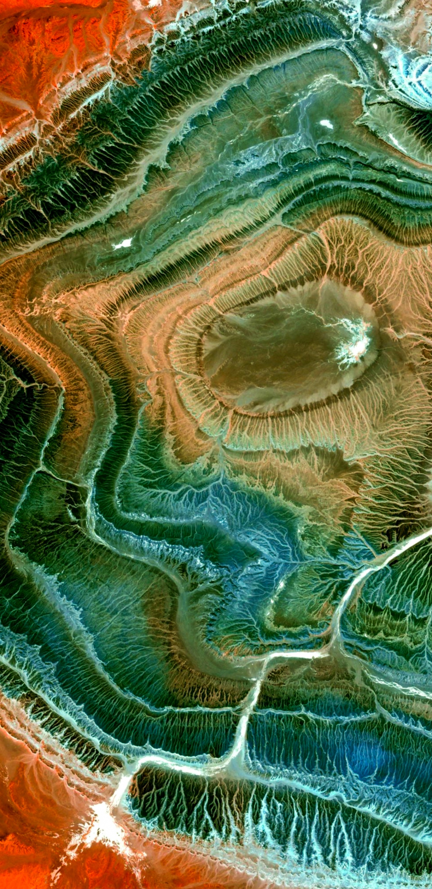 绿色的, 水道, 草, 水上, 自然景观 壁纸 1440x2960 允许