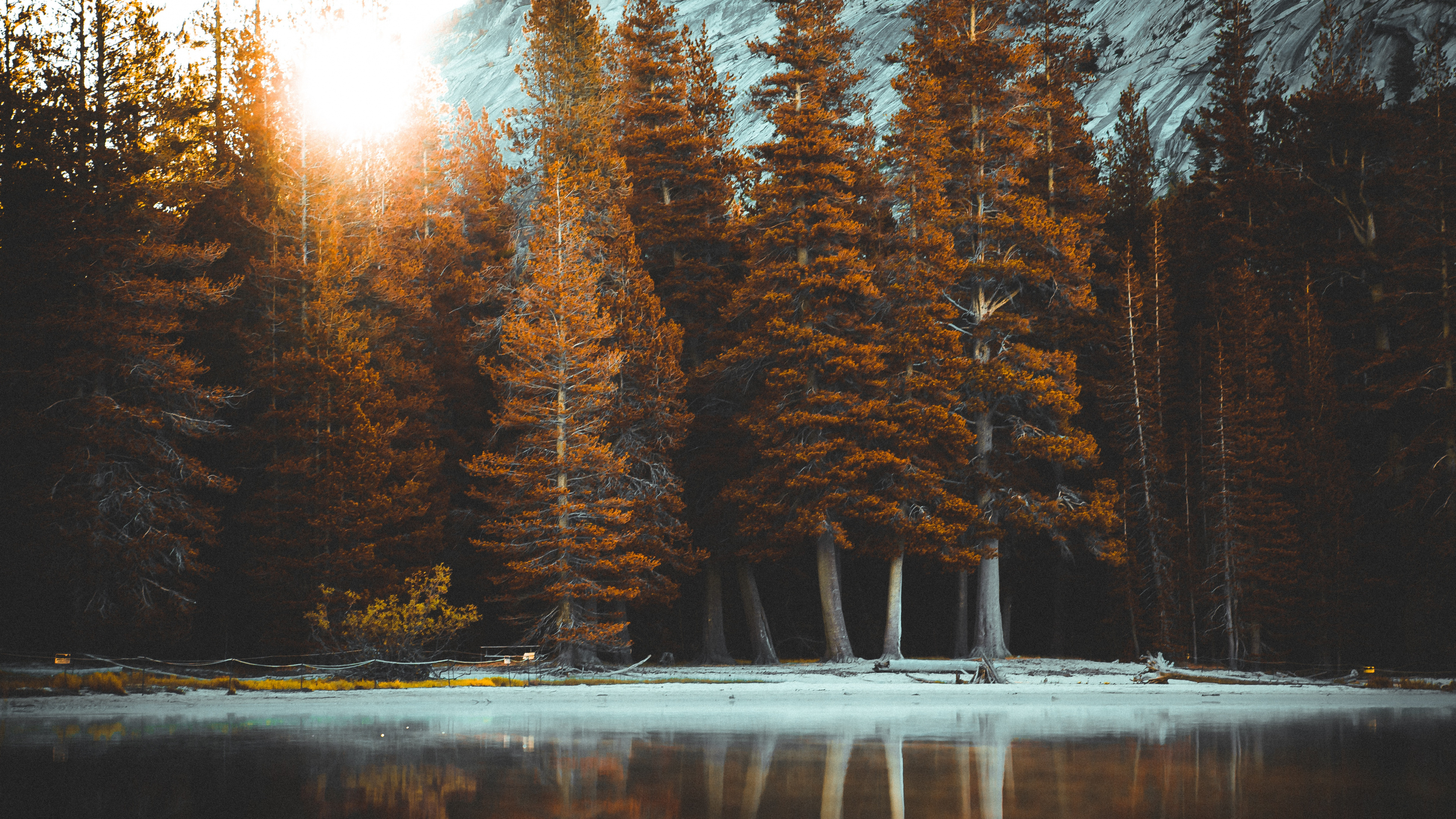 Baum, Natur, Naturlandschaft, Licht, Naruto. Wallpaper in 3840x2160 Resolution